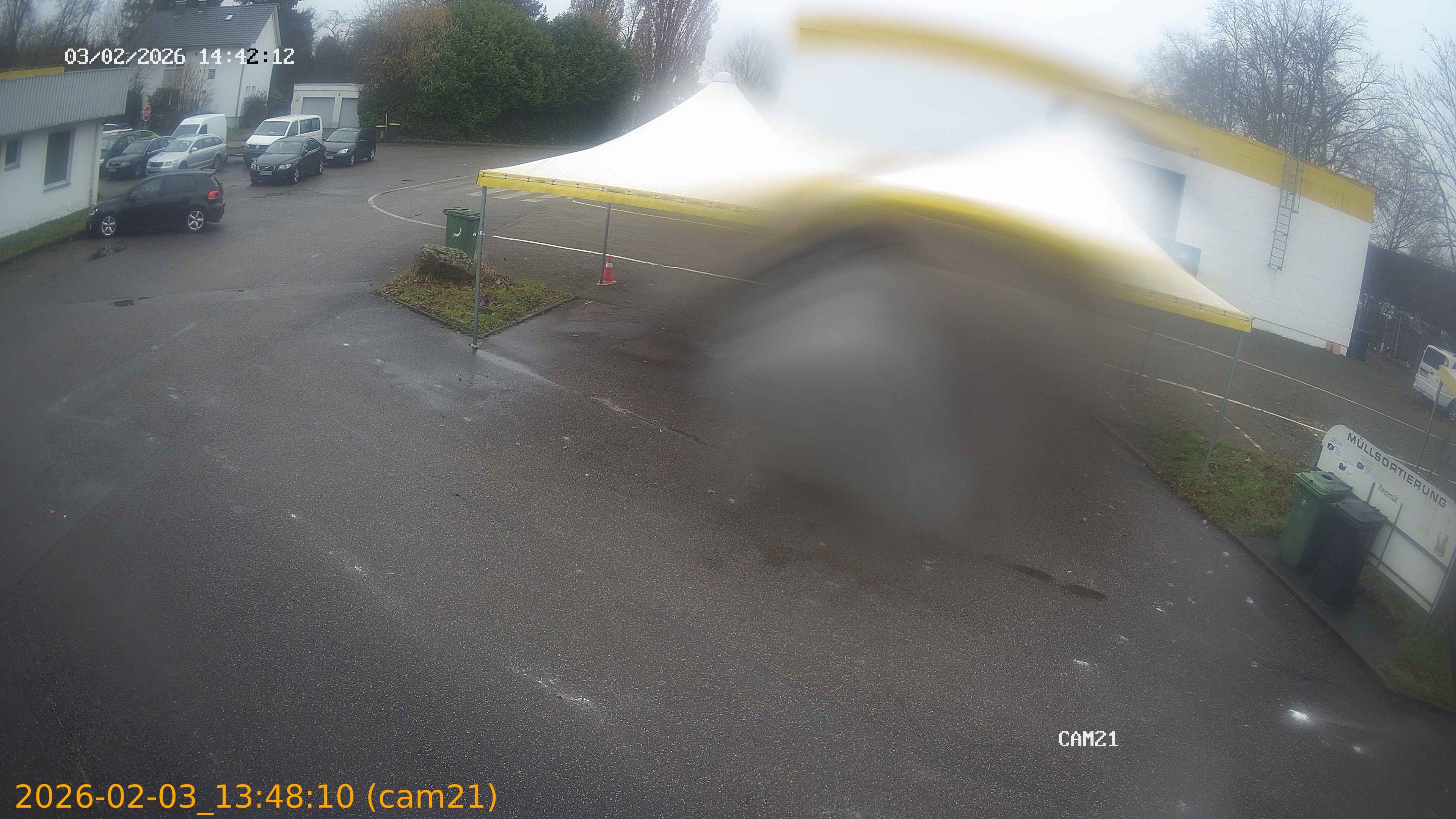 thumbnail_20260203134810