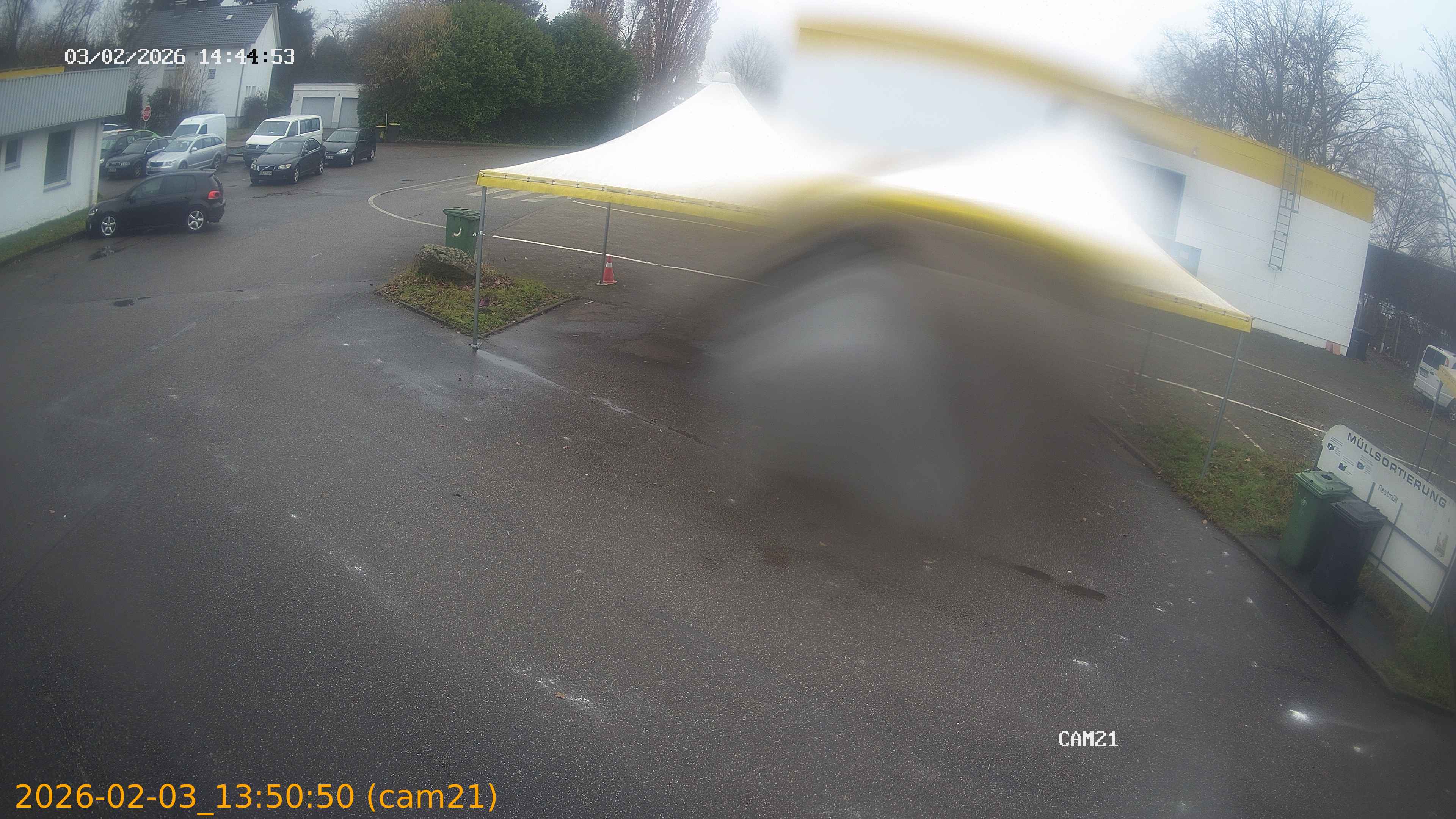 thumbnail_20260203135050