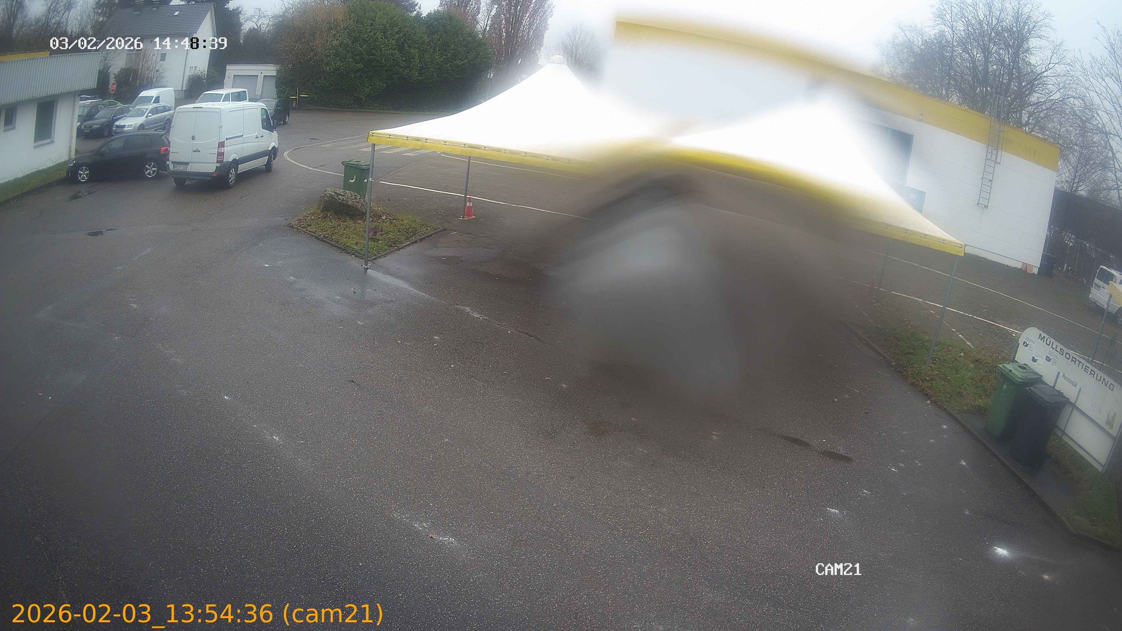 thumbnail_20260203135436