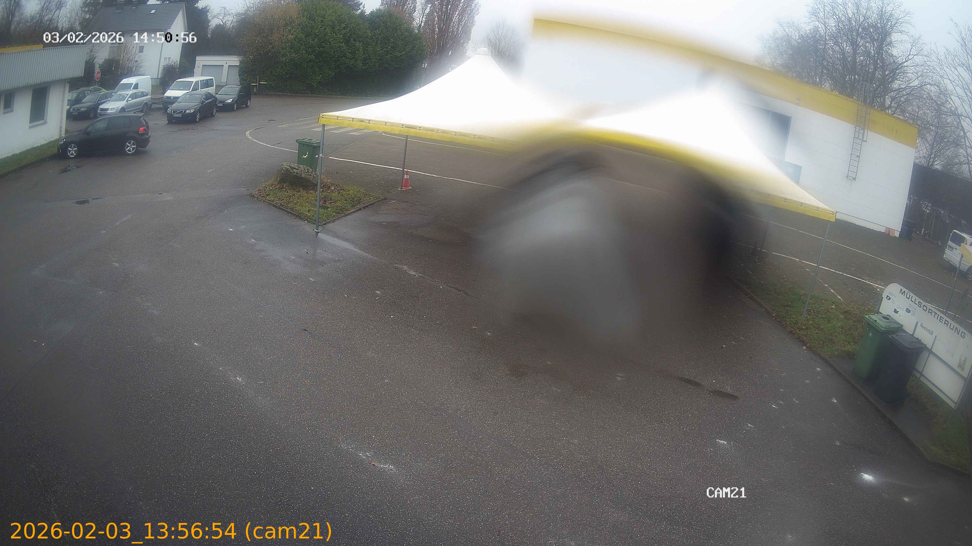 thumbnail_20260203135653