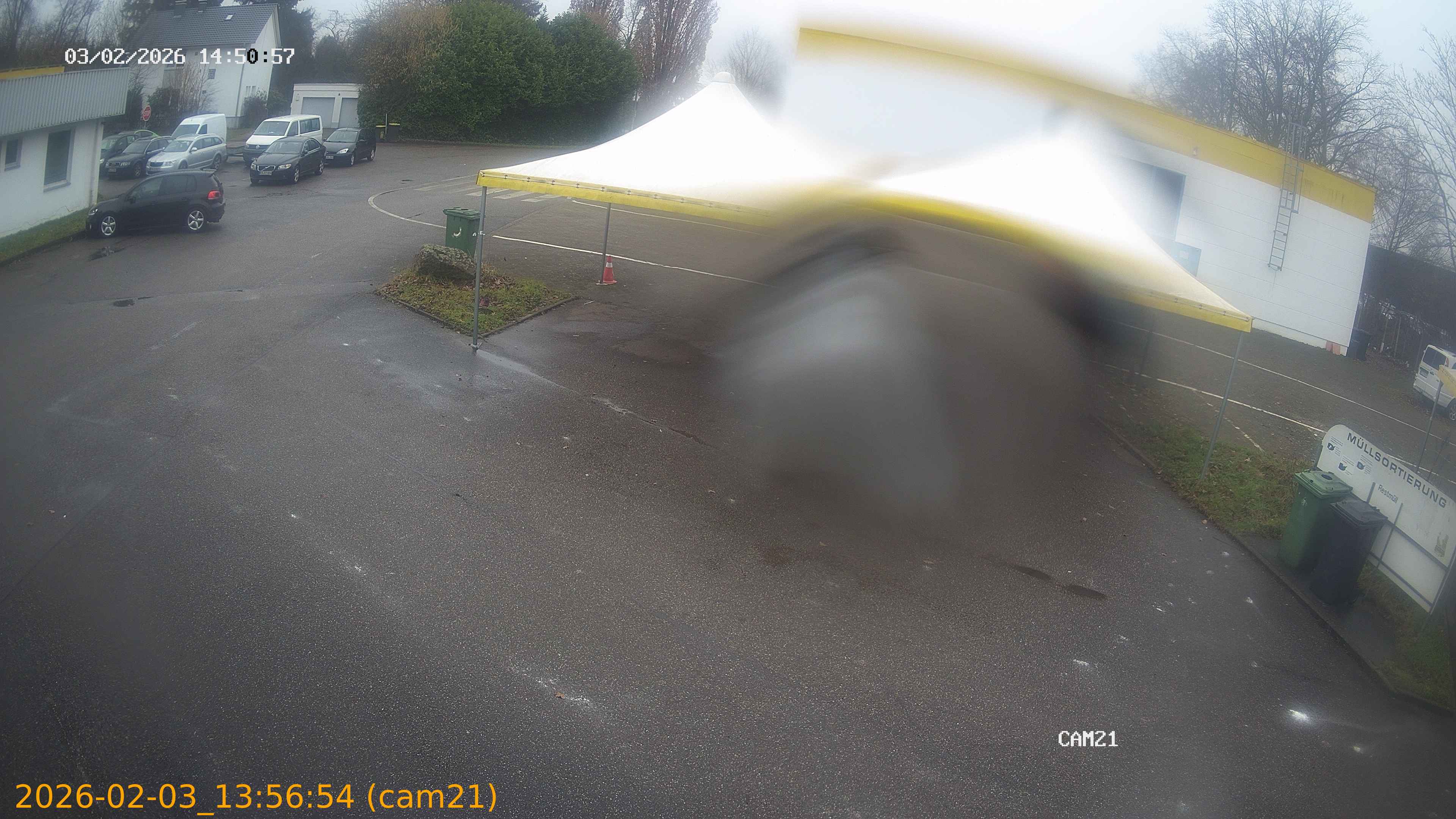 thumbnail_20260203135654