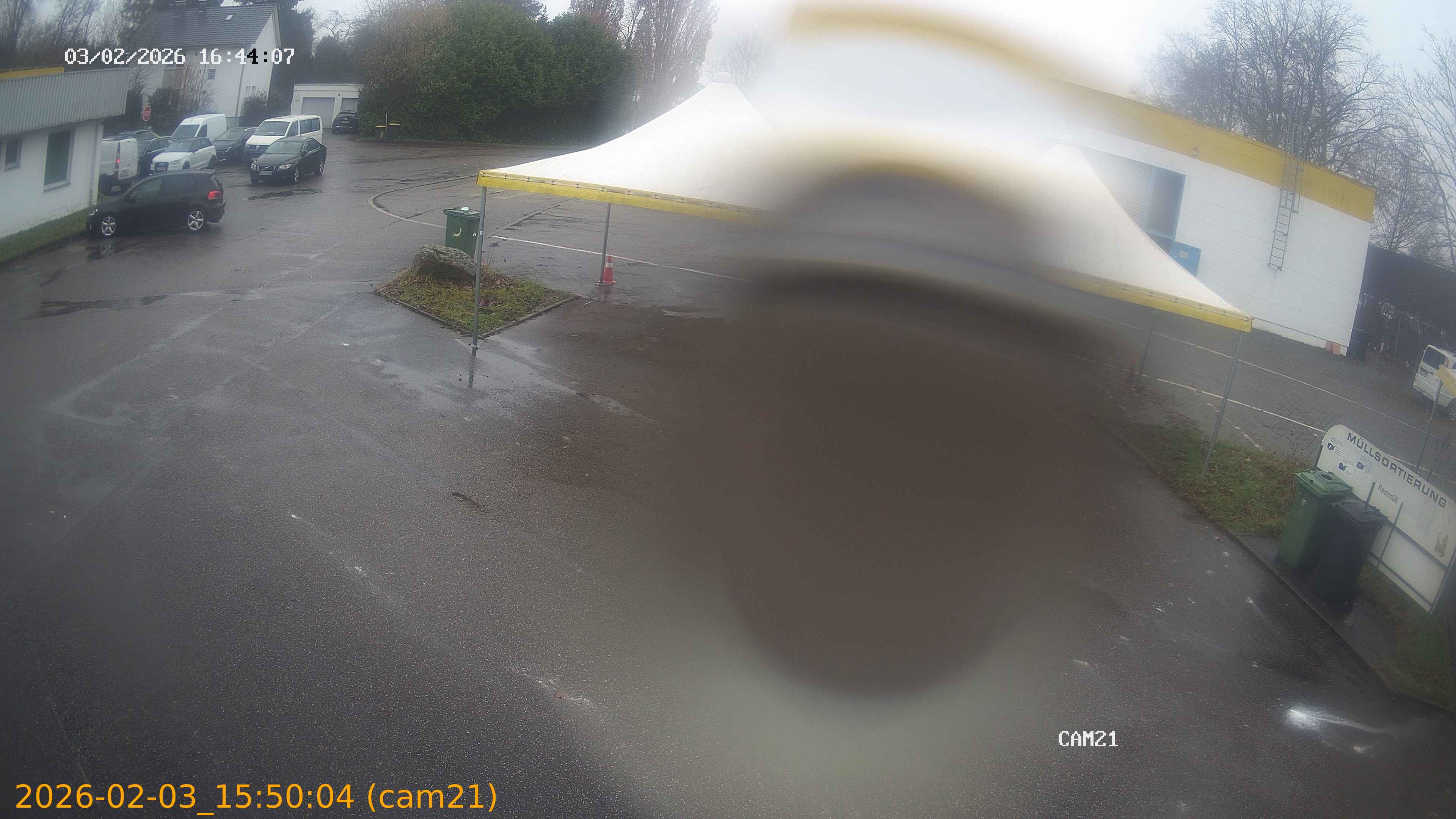 thumbnail_20260203155004