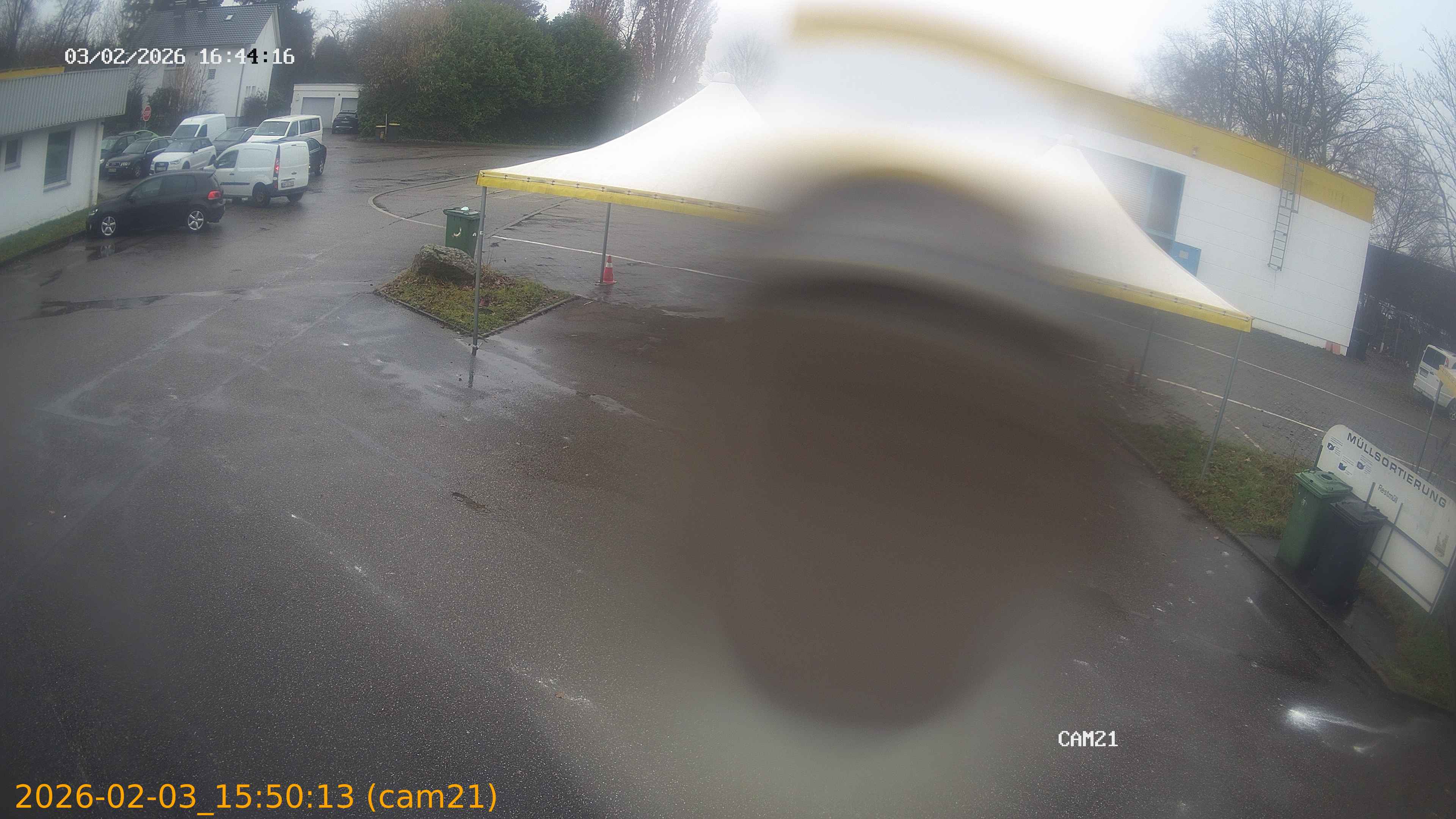 thumbnail_20260203155013