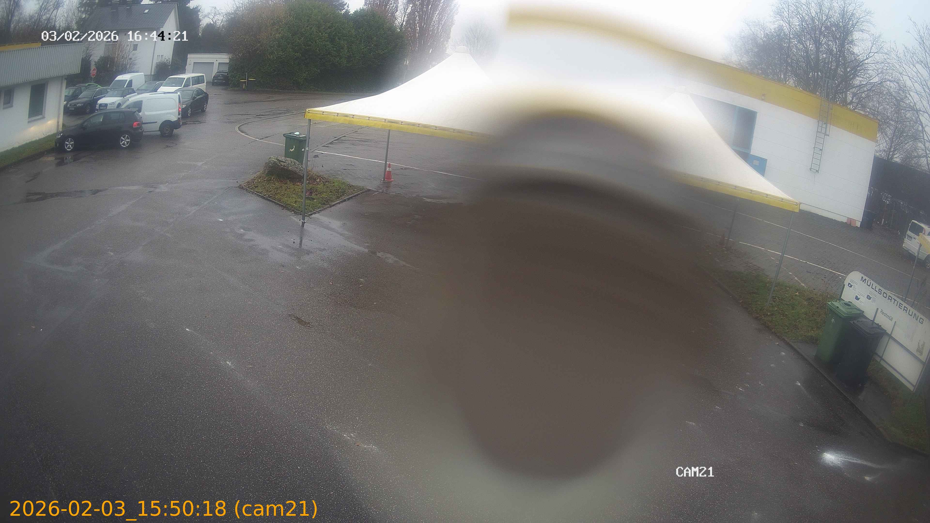 thumbnail_20260203155018