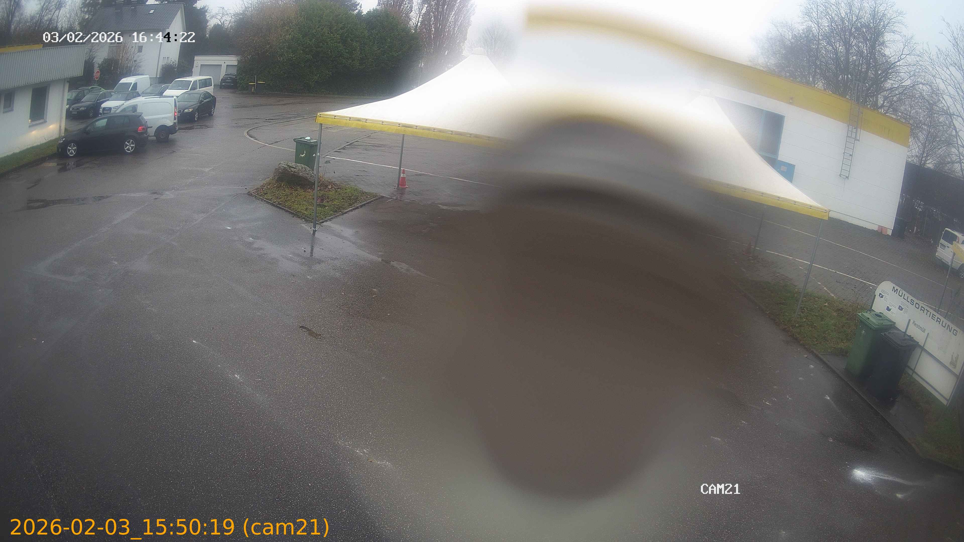 thumbnail_20260203155019