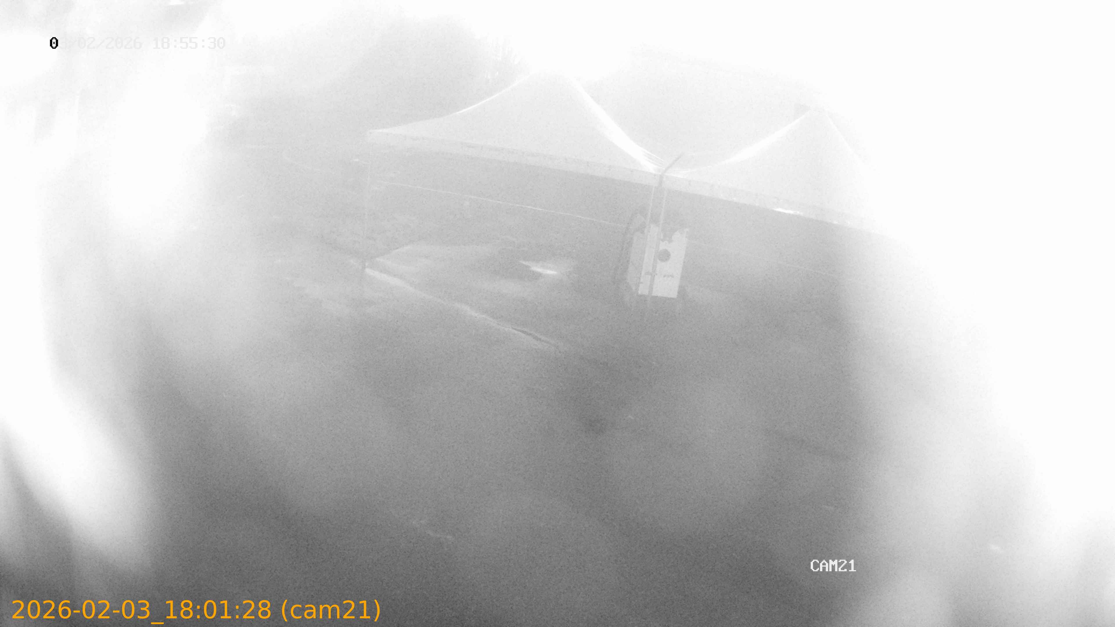 thumbnail_20260203180128