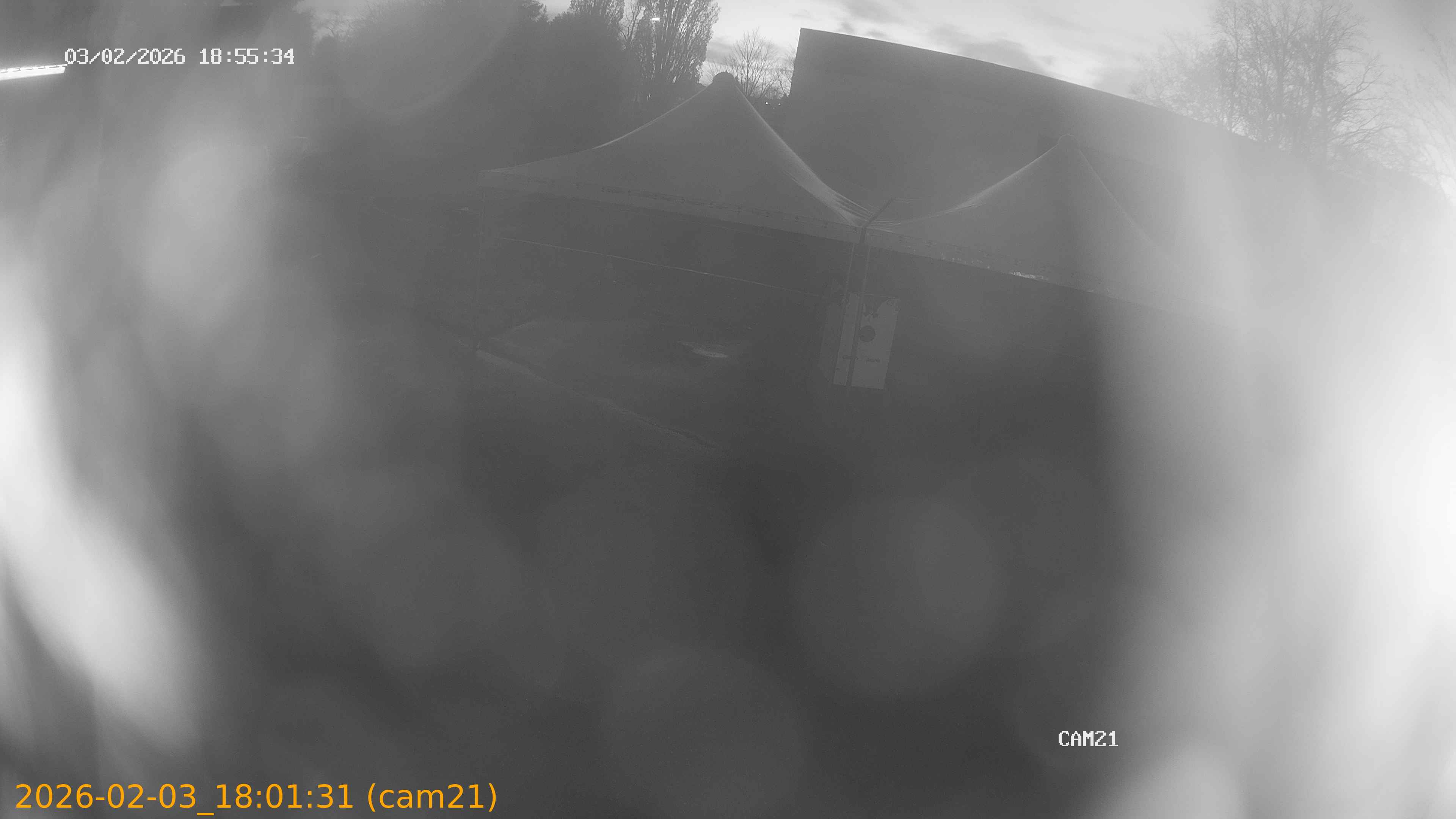 thumbnail_20260203180131