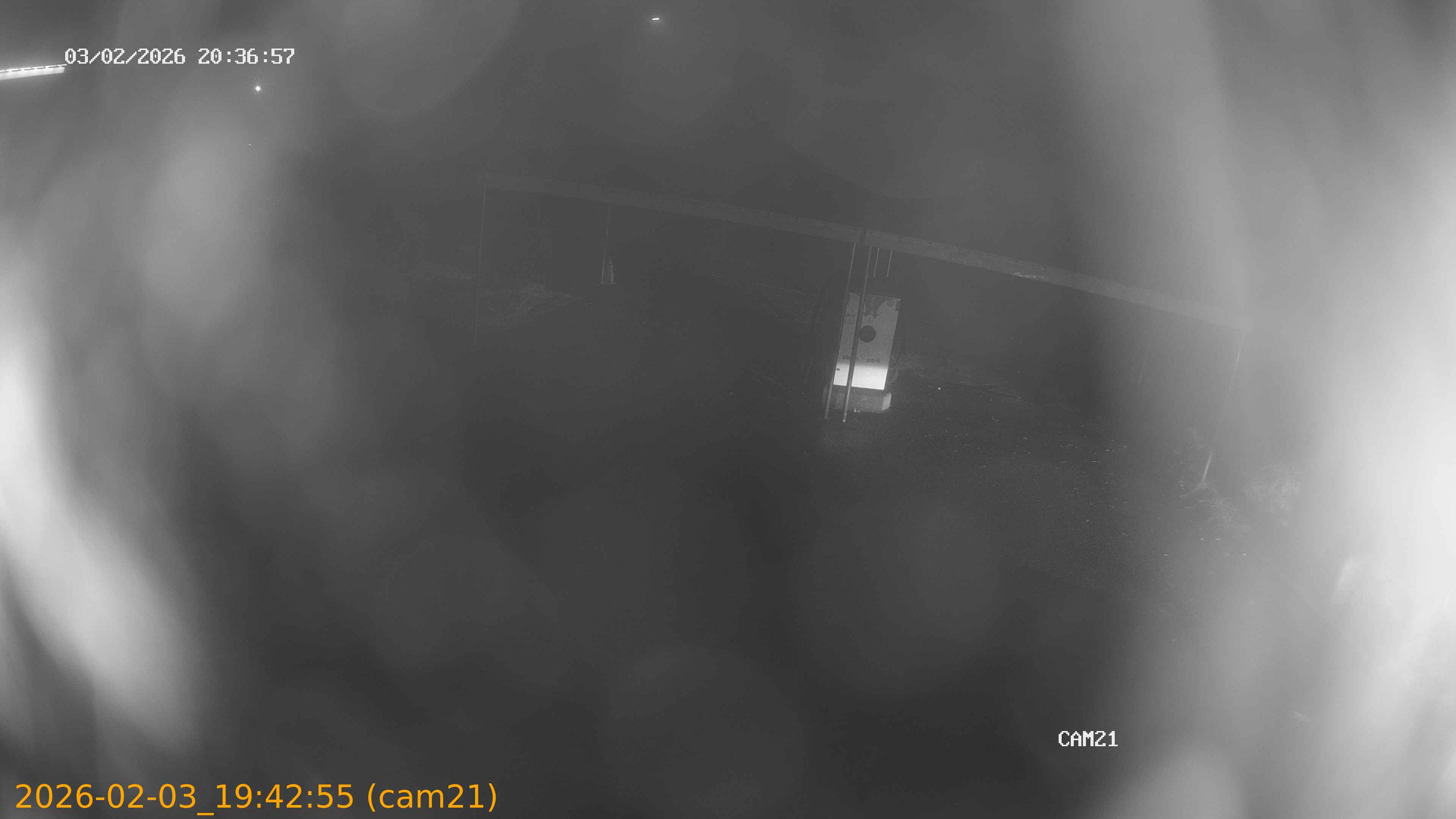 thumbnail_20260203194255