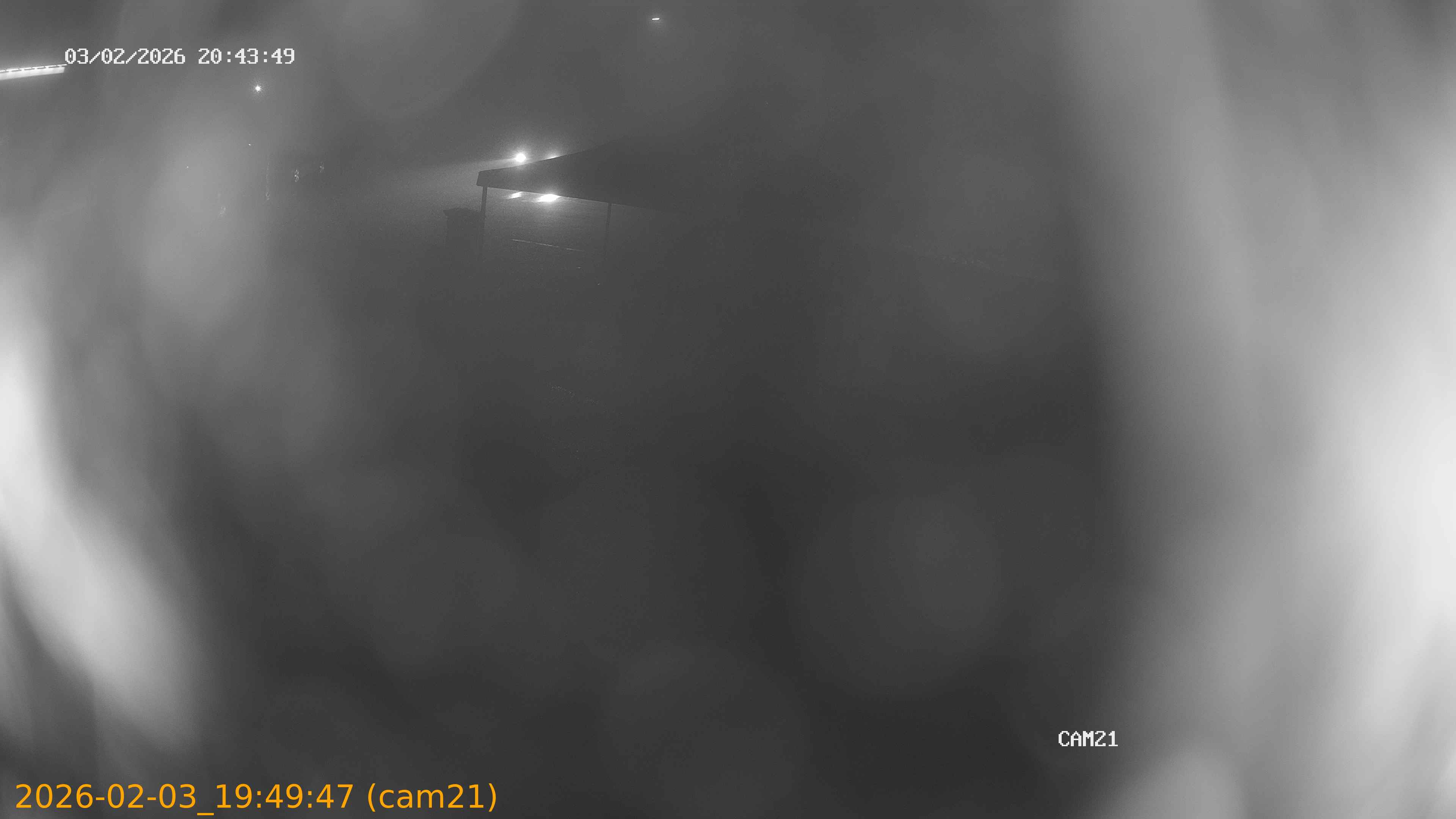 thumbnail_20260203194947