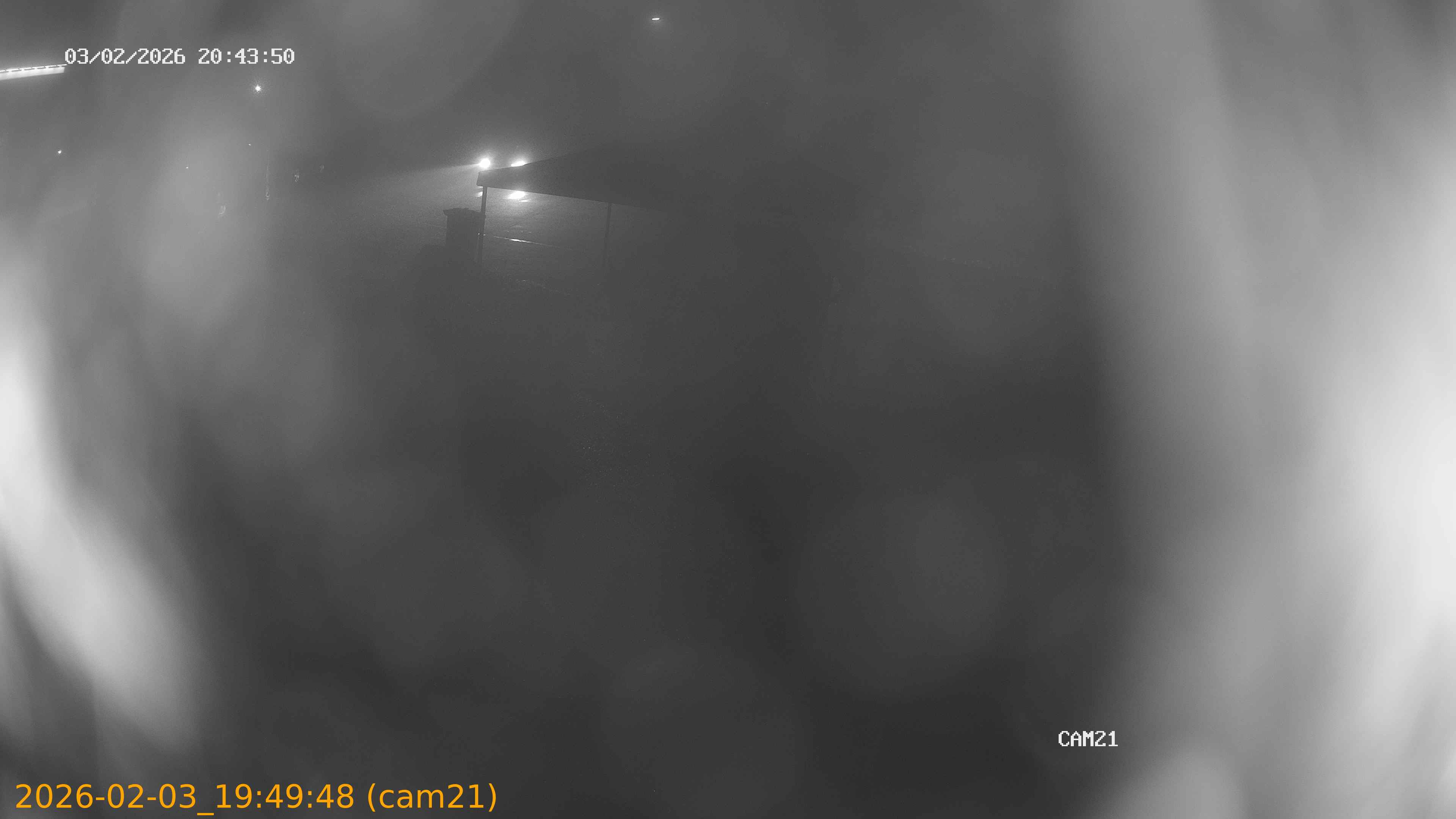 thumbnail_20260203194948