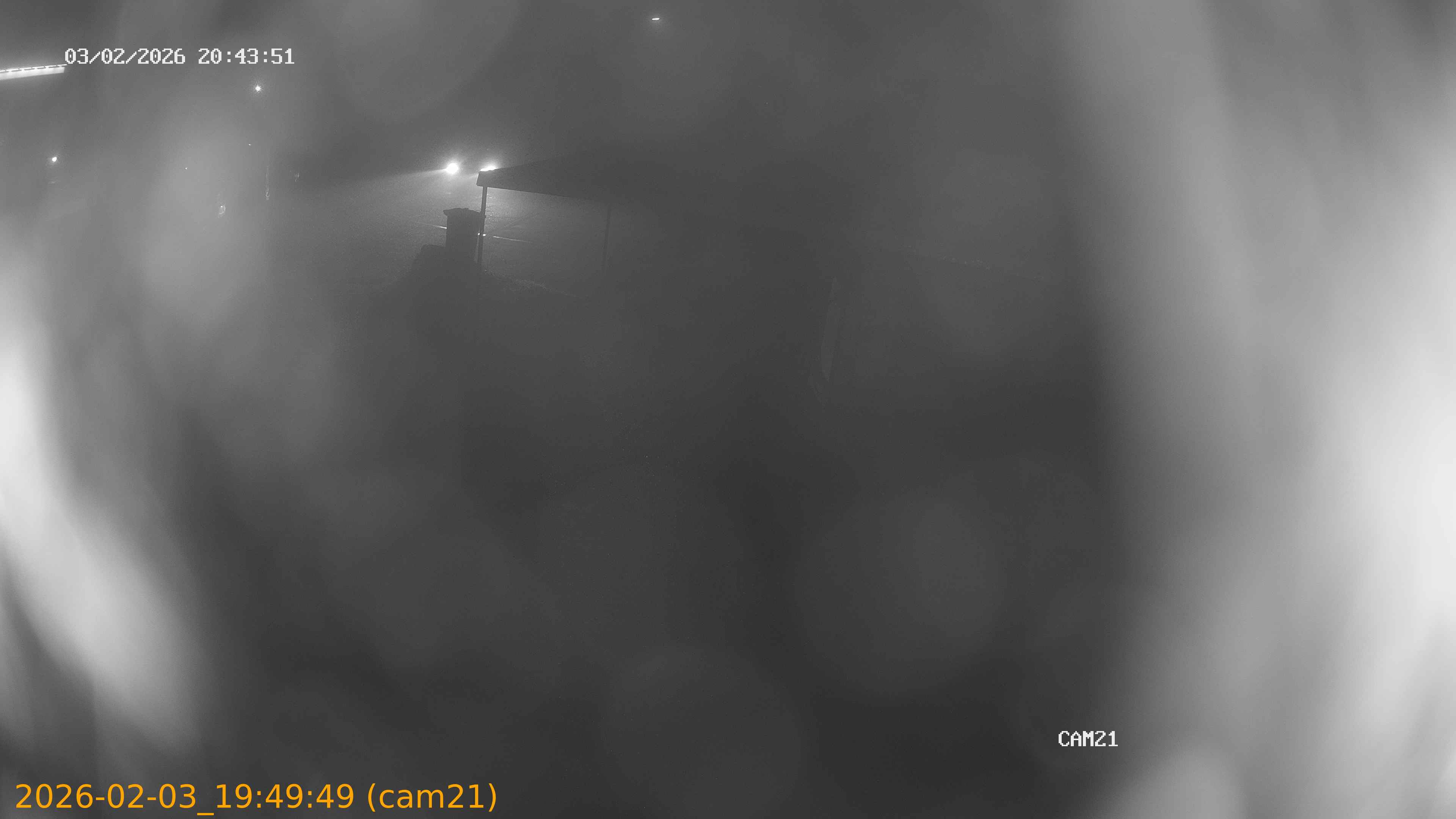 thumbnail_20260203194949