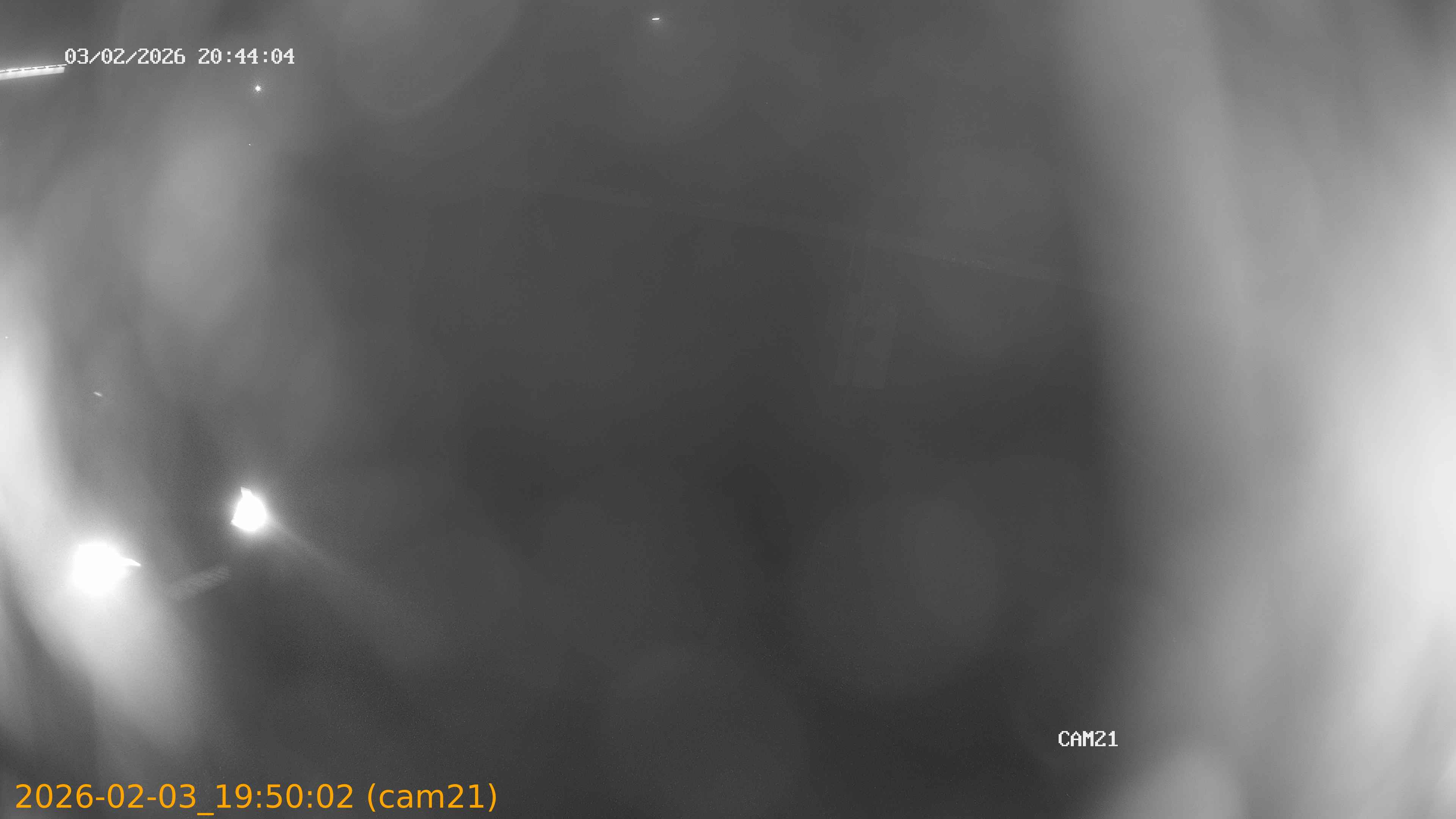 thumbnail_20260203195002