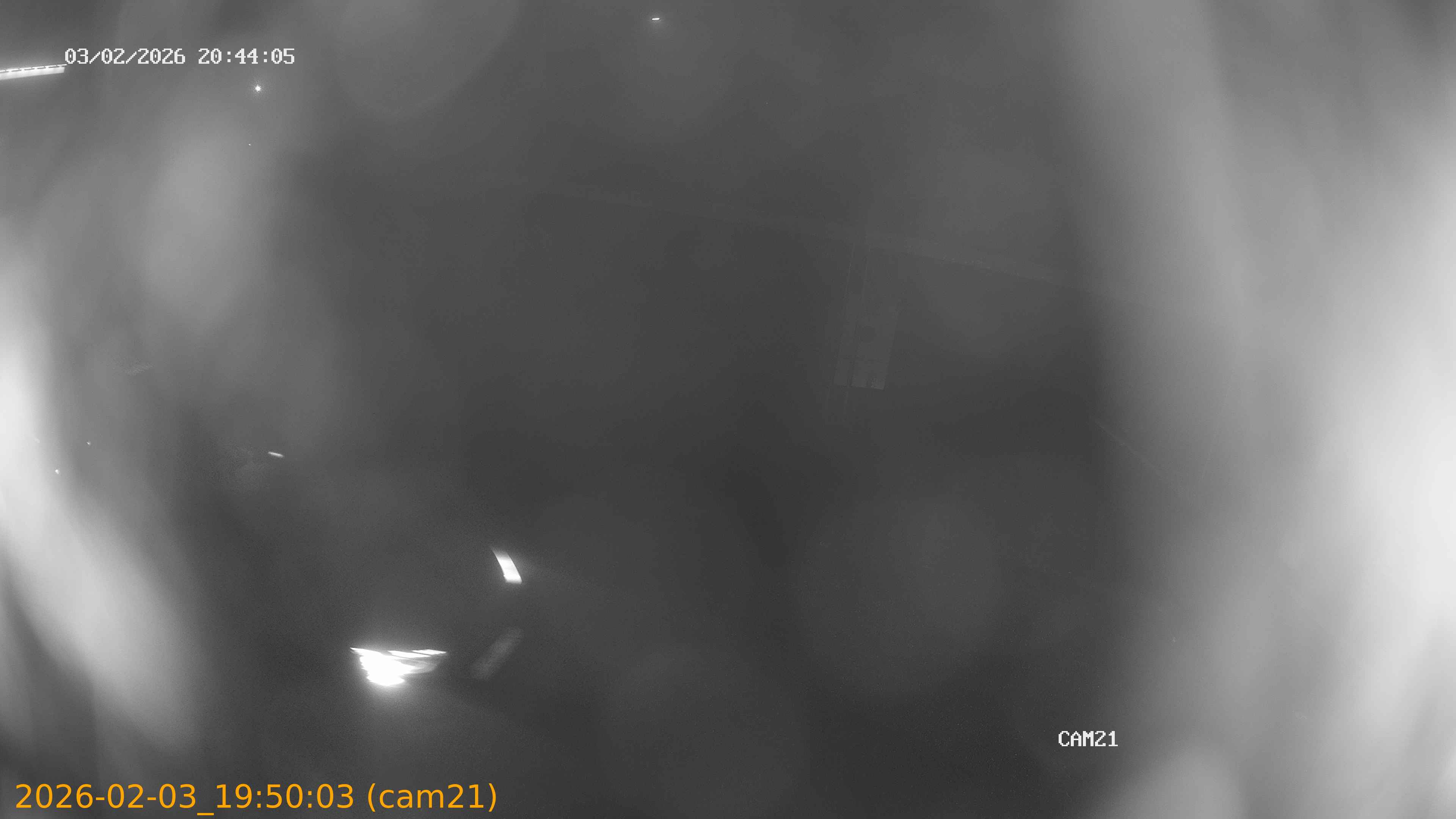 thumbnail_20260203195003