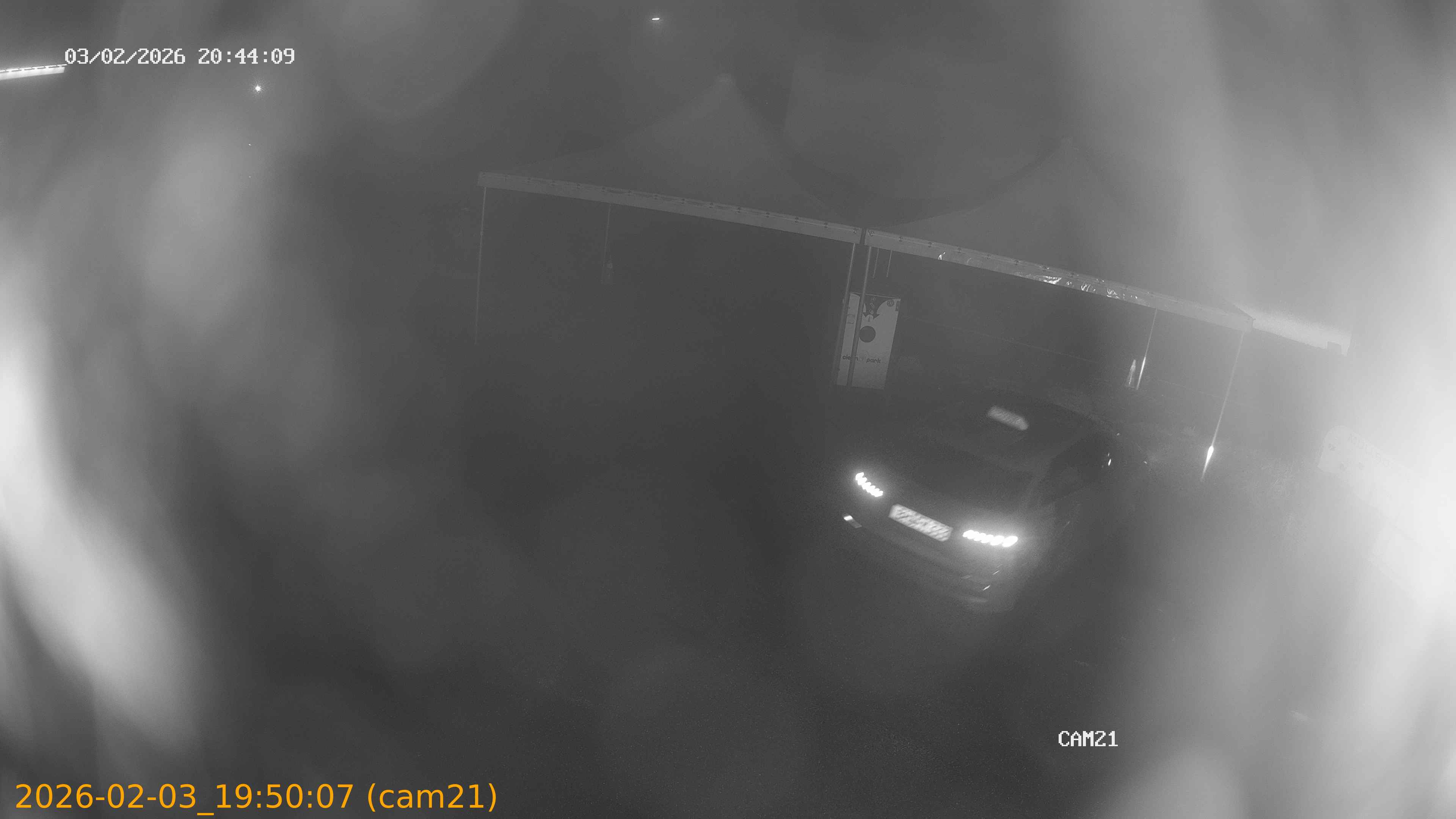 thumbnail_20260203195007