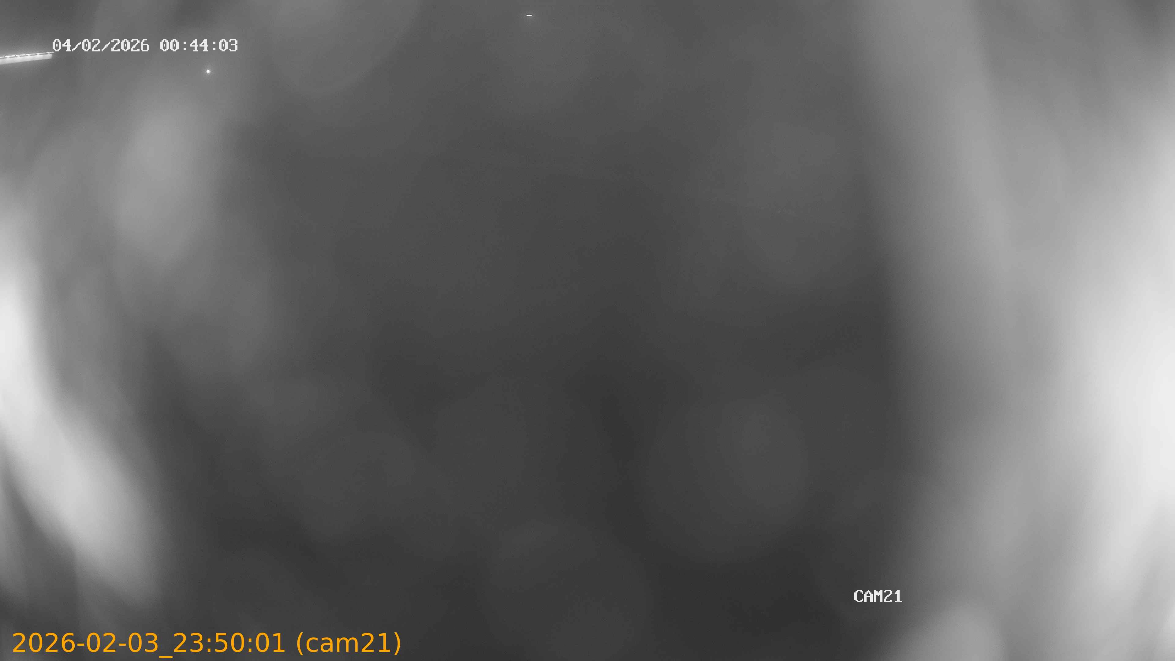 thumbnail_20260203235001