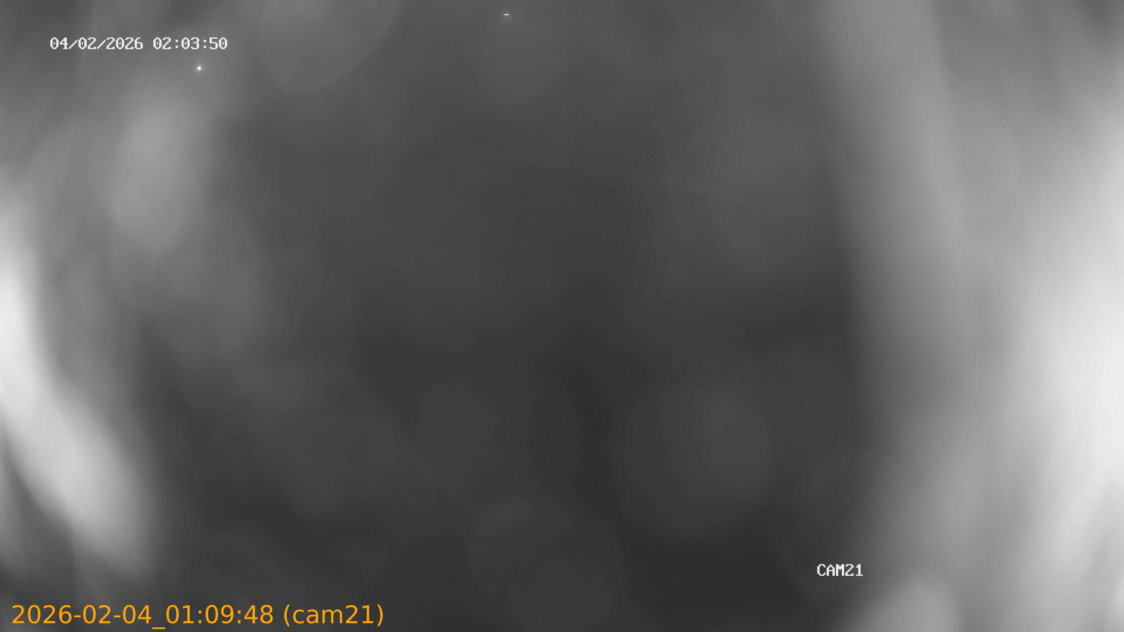 thumbnail_20260204010948