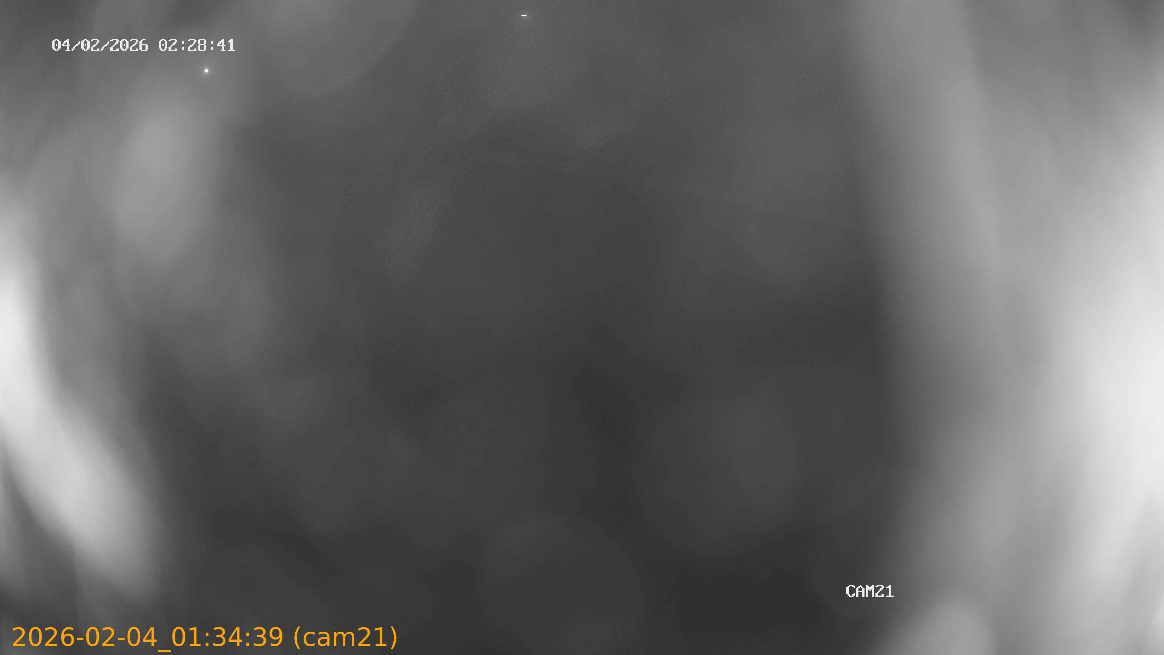 thumbnail_20260204013439