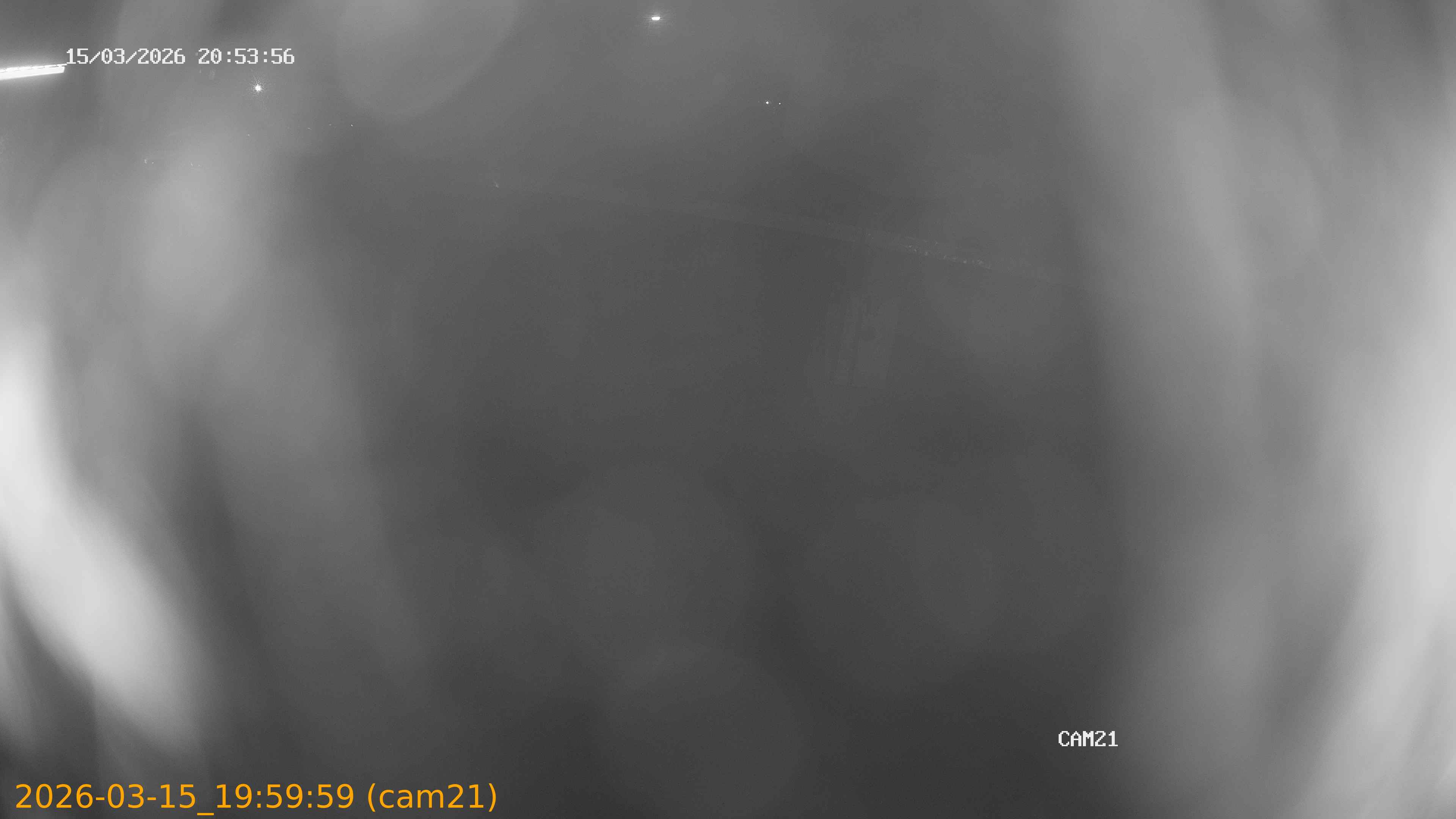 thumbnail_2026031519