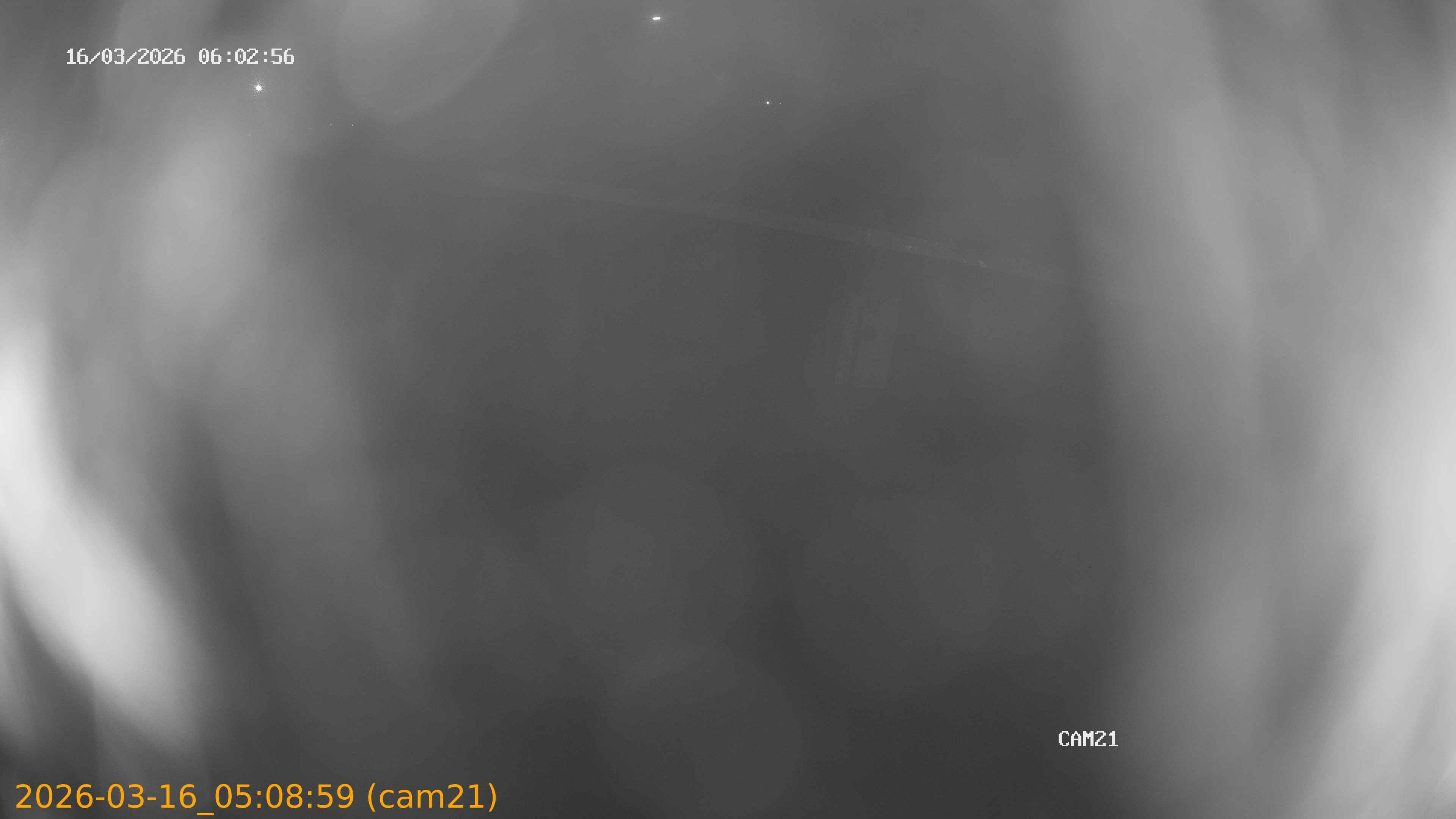 thumbnail_202603160508