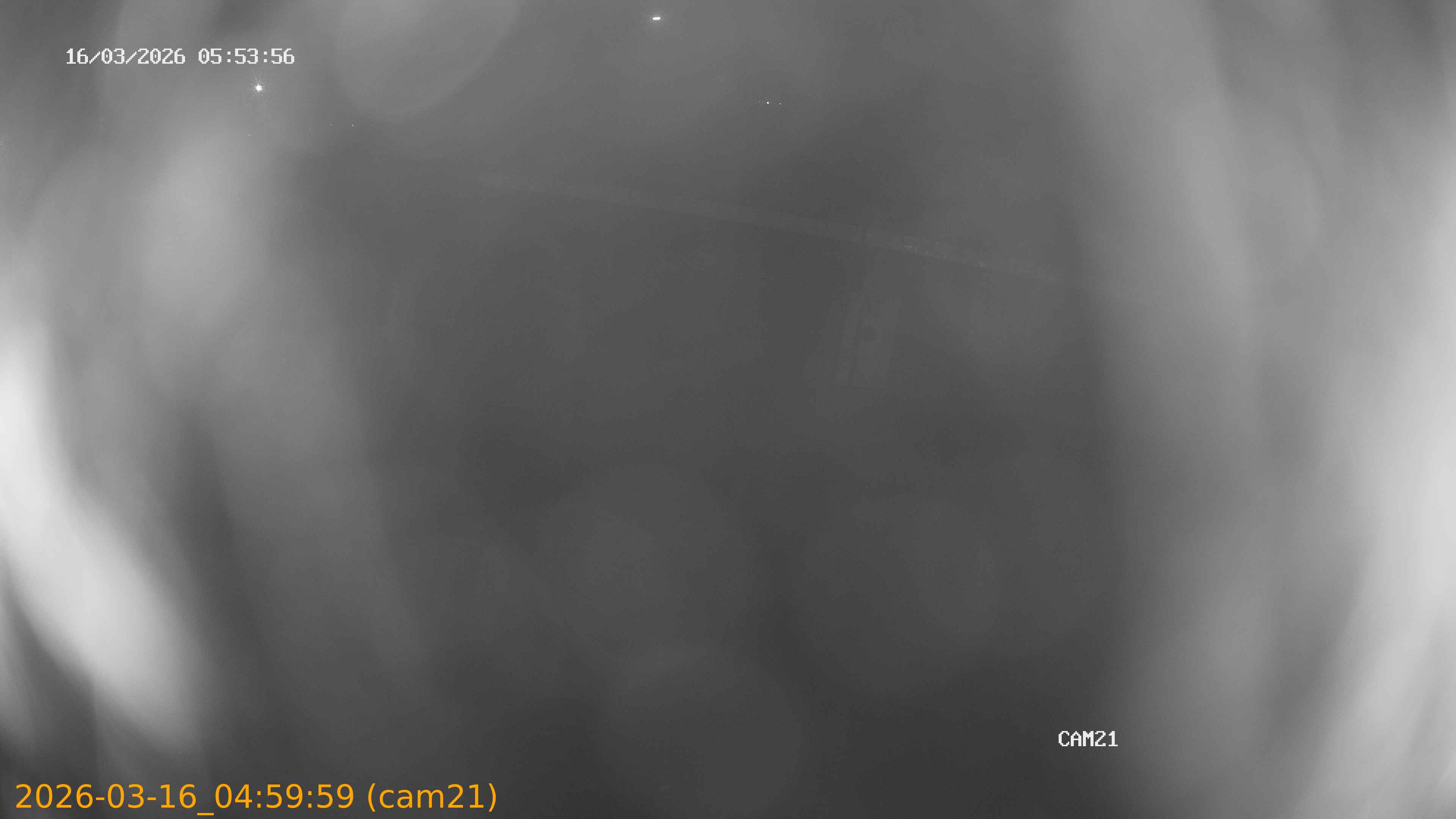 thumbnail_2026031604