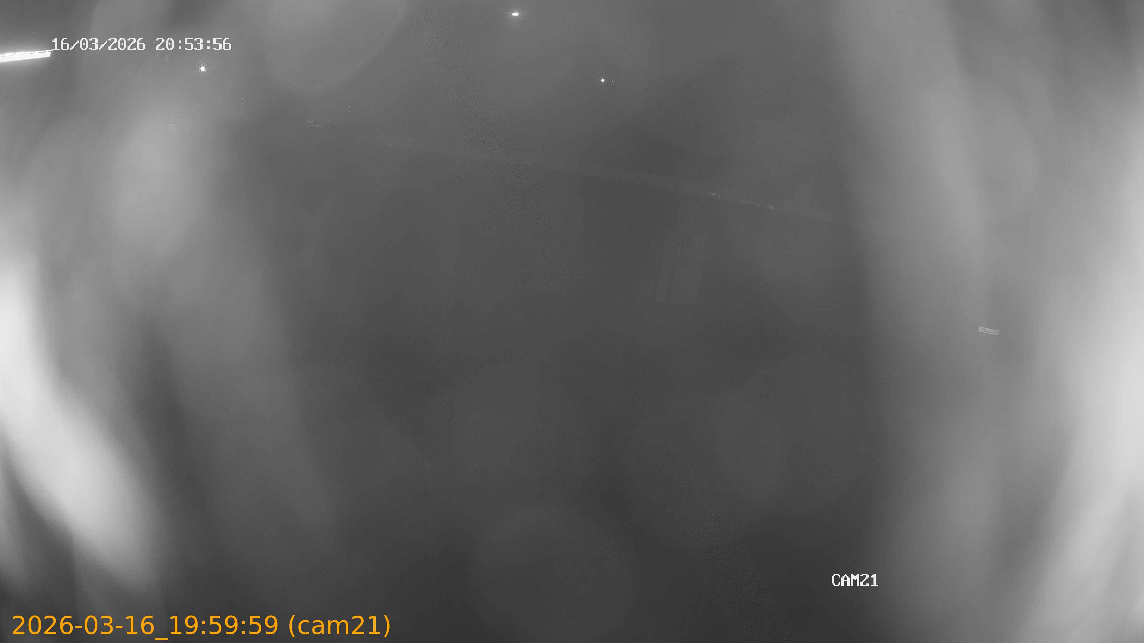 thumbnail_2026031619