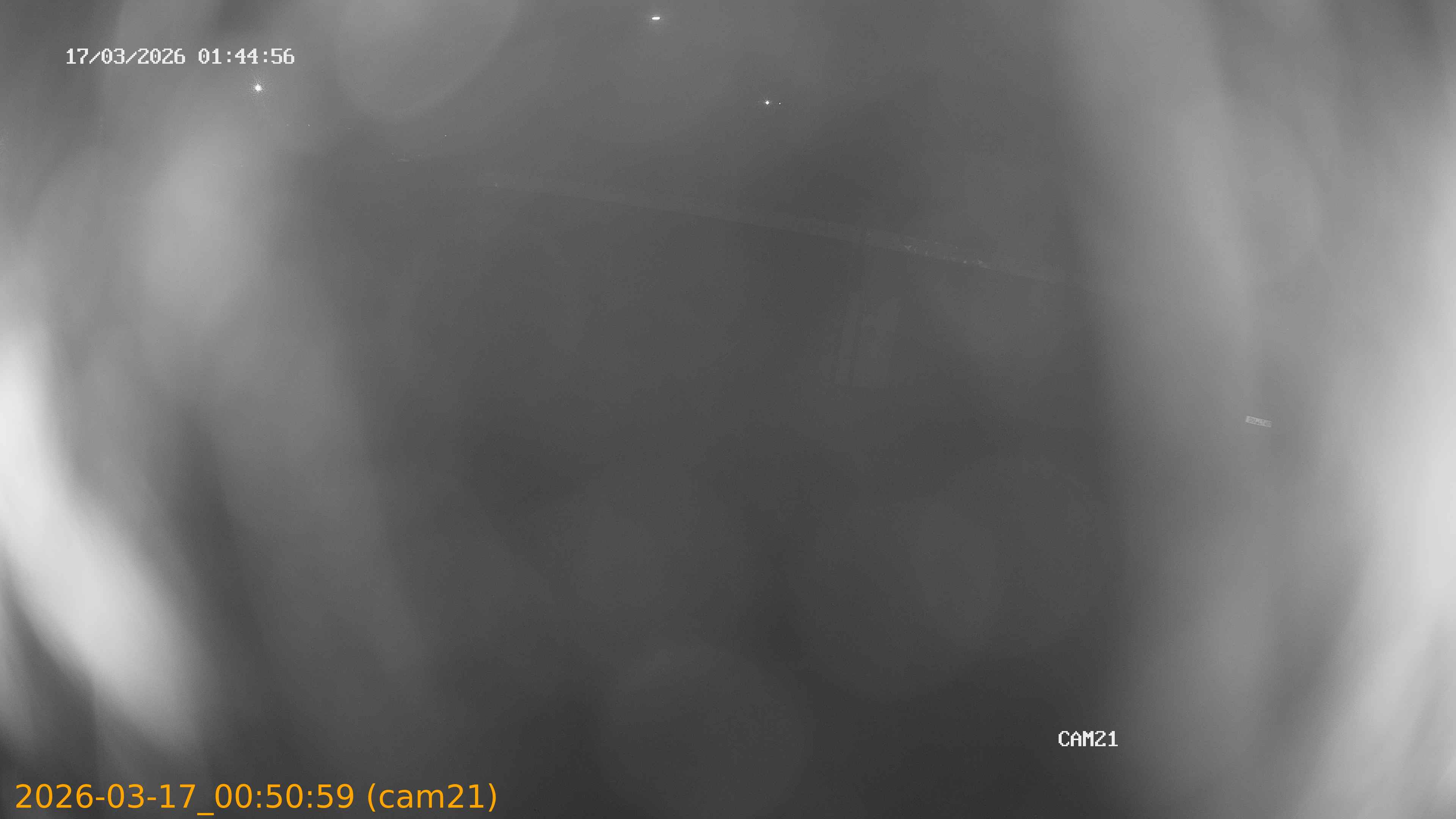 thumbnail_202603170050