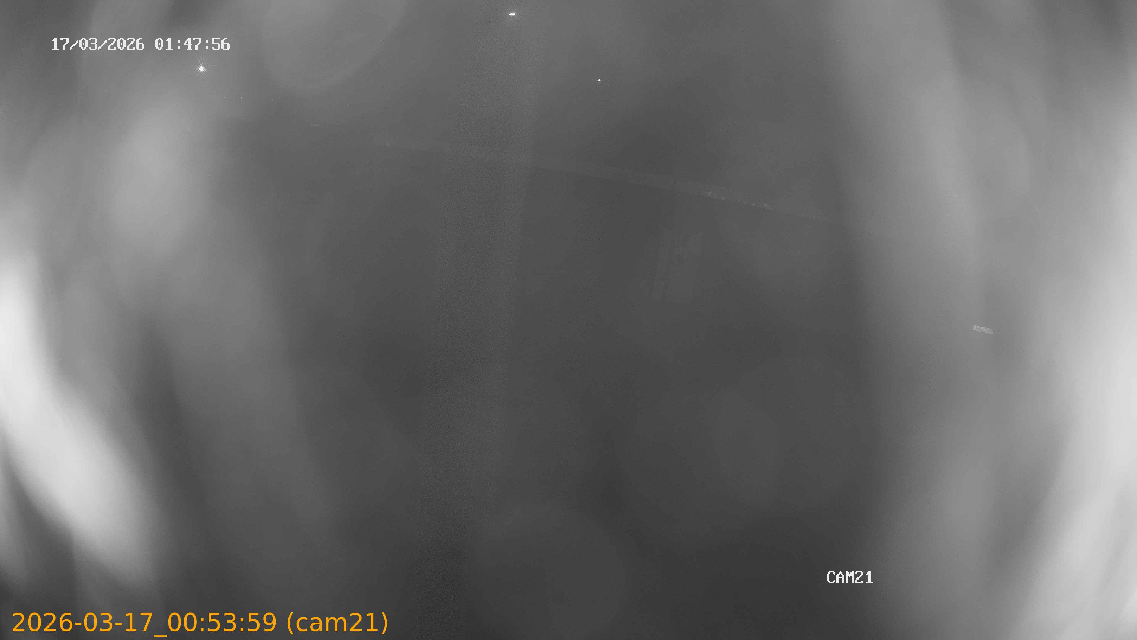 thumbnail_202603170053