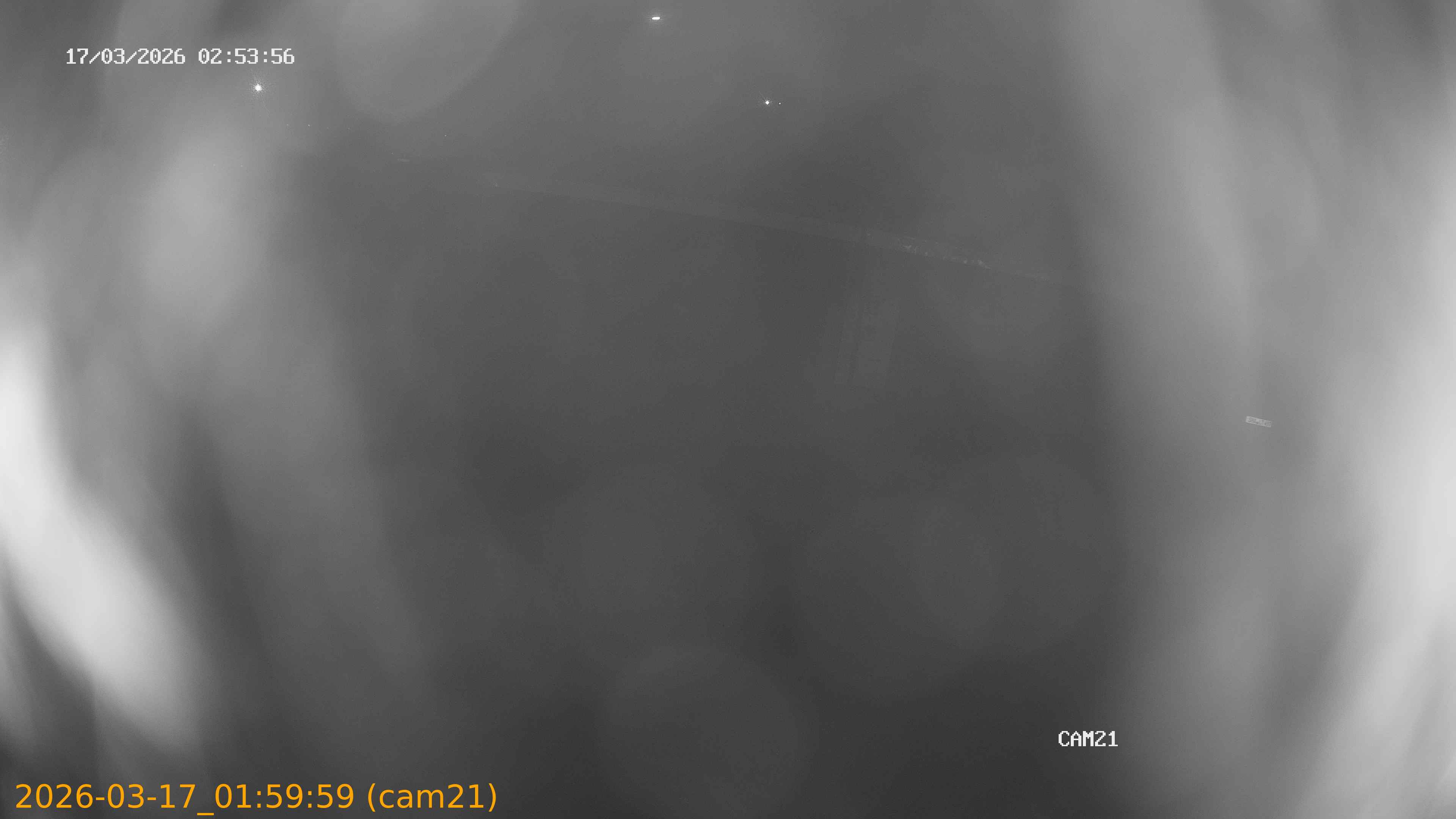 thumbnail_202603170159