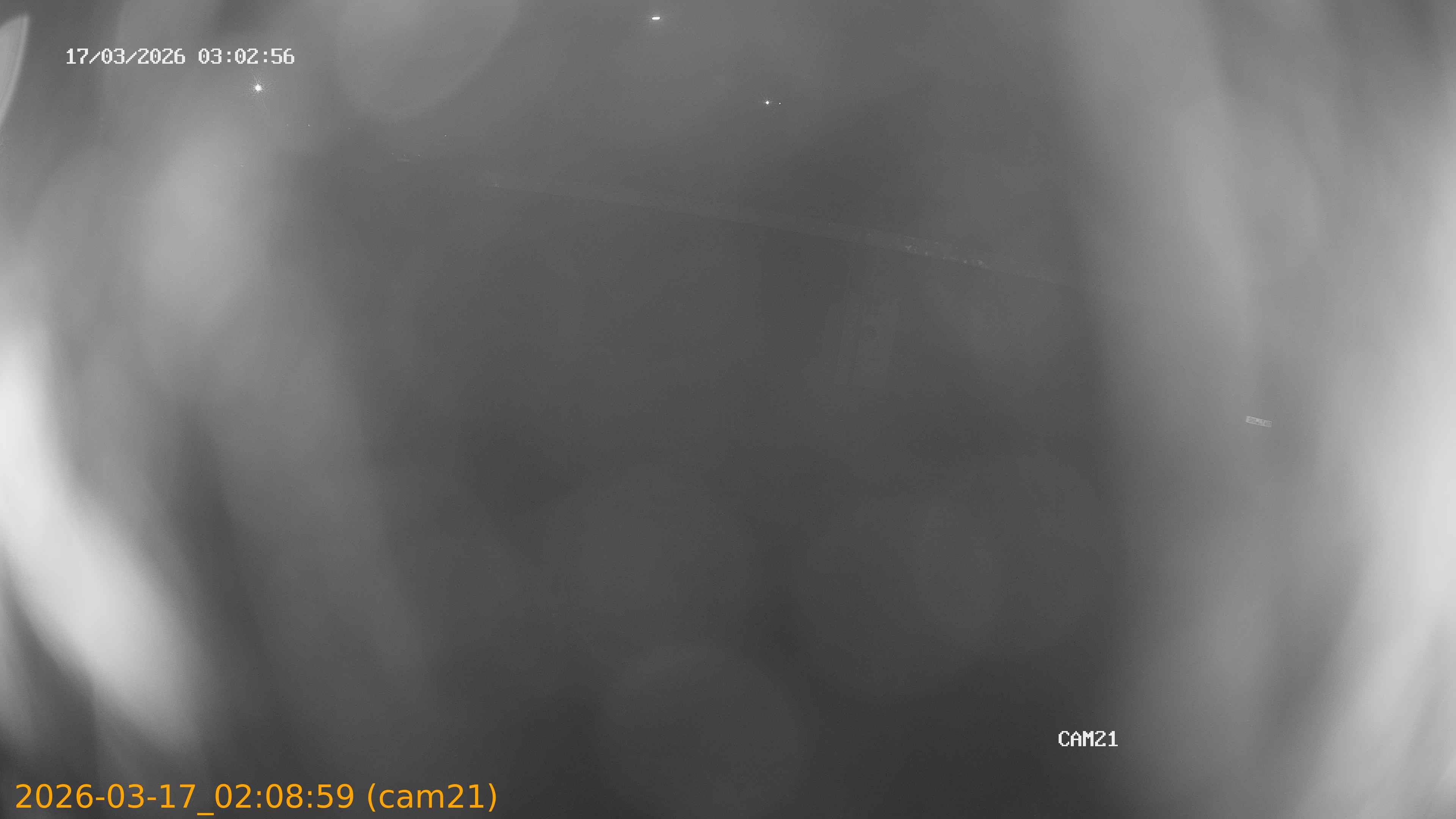 thumbnail_202603170208