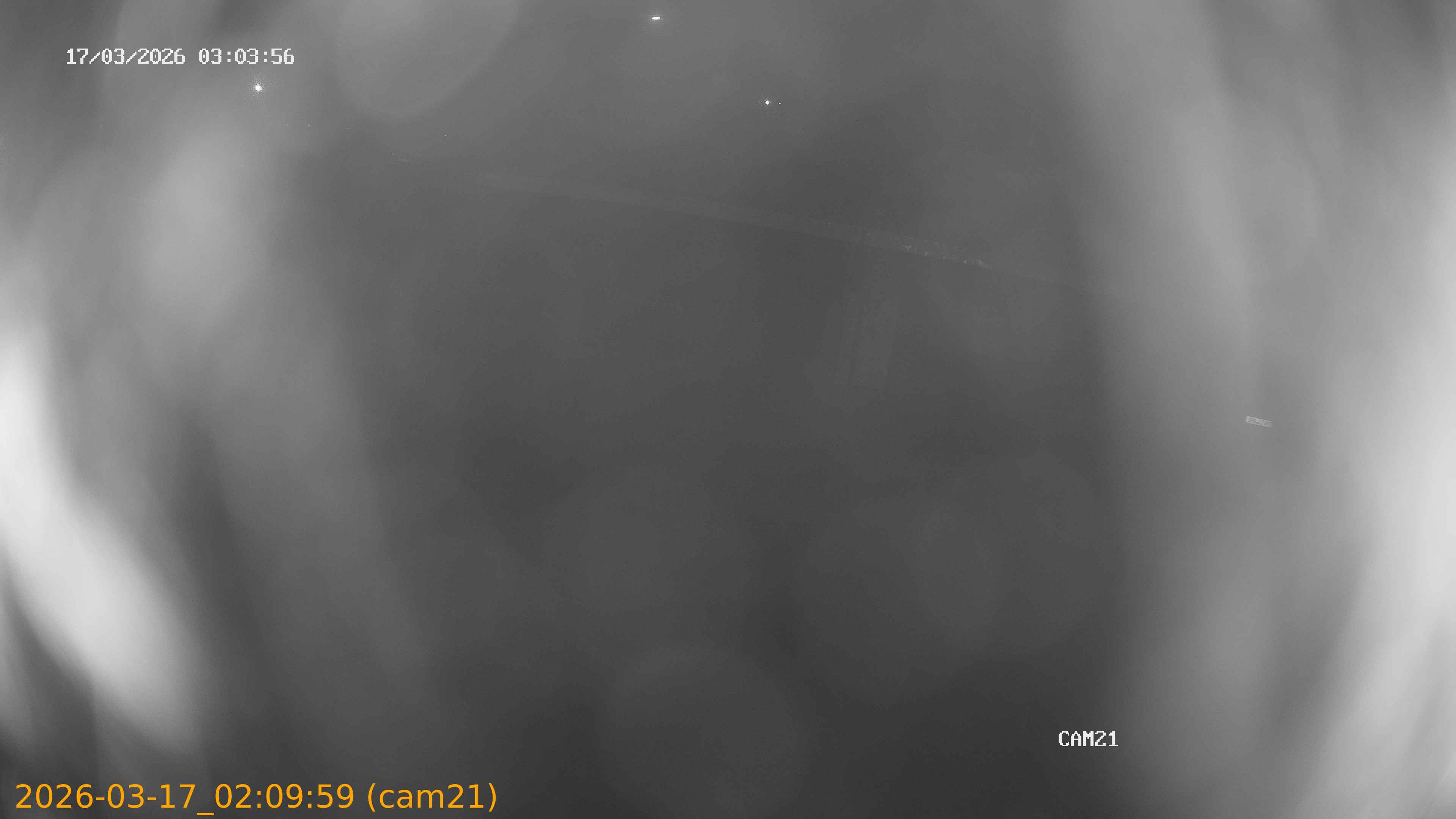 thumbnail_202603170209