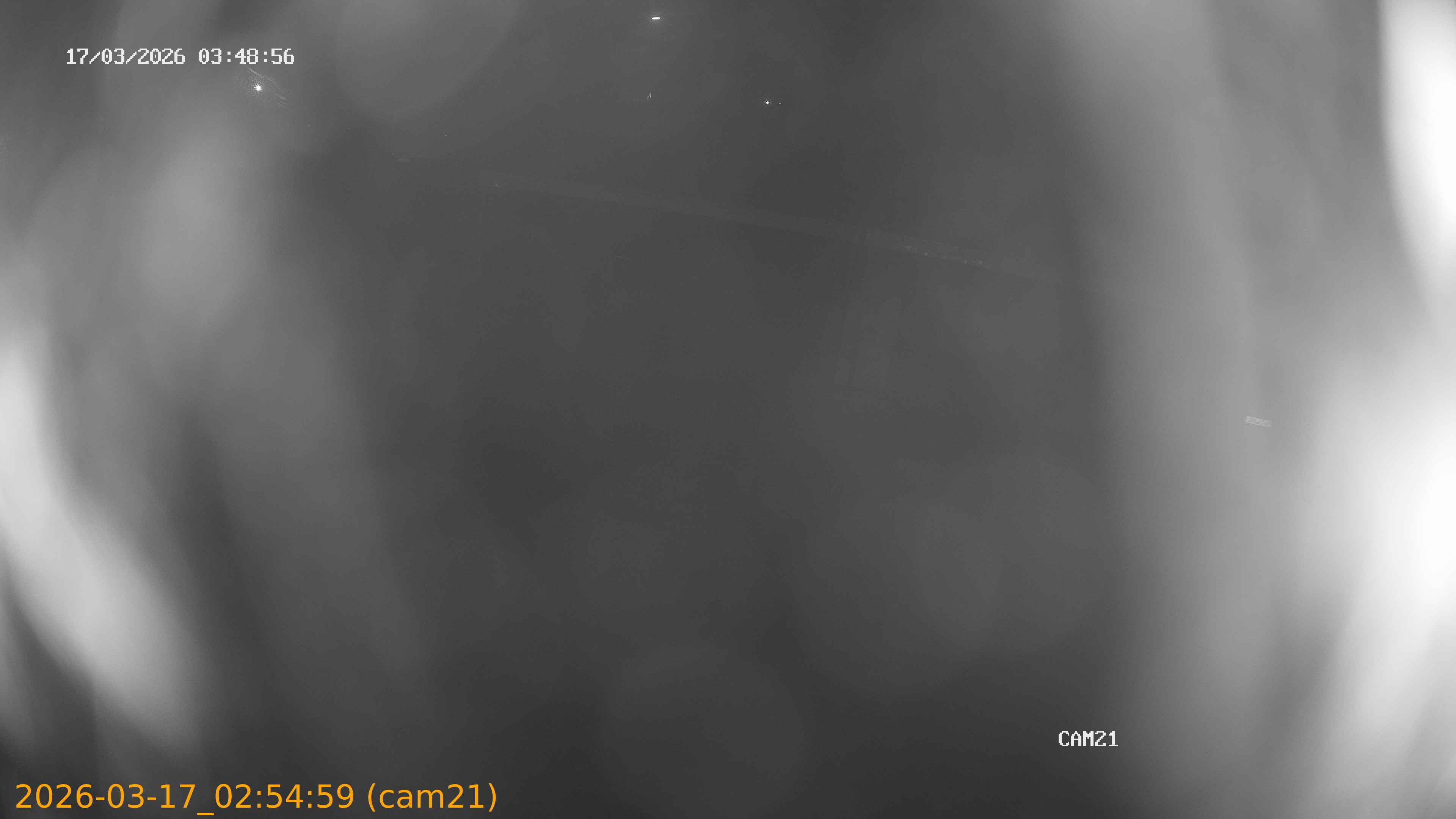 thumbnail_202603170254