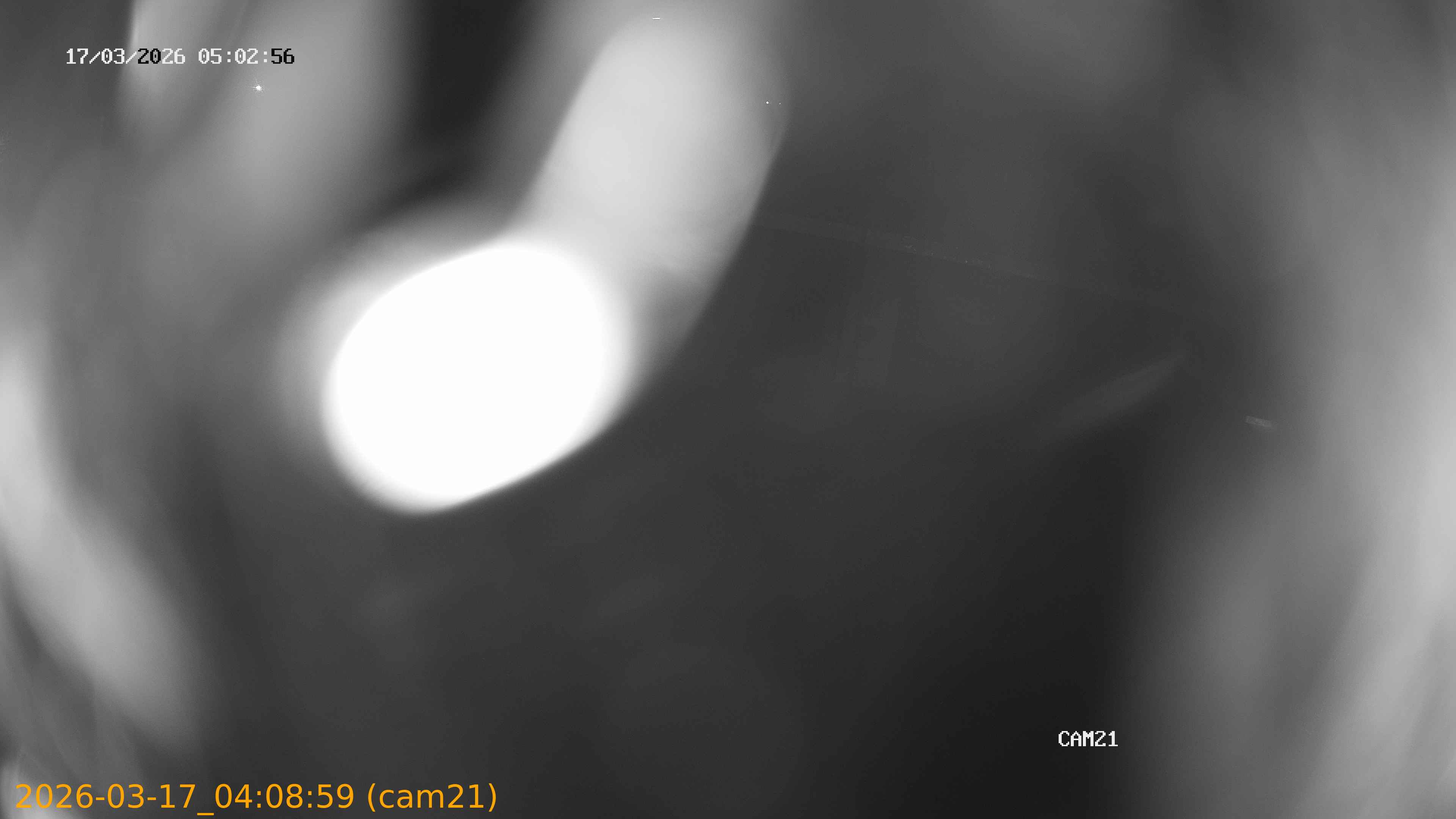 thumbnail_202603170408