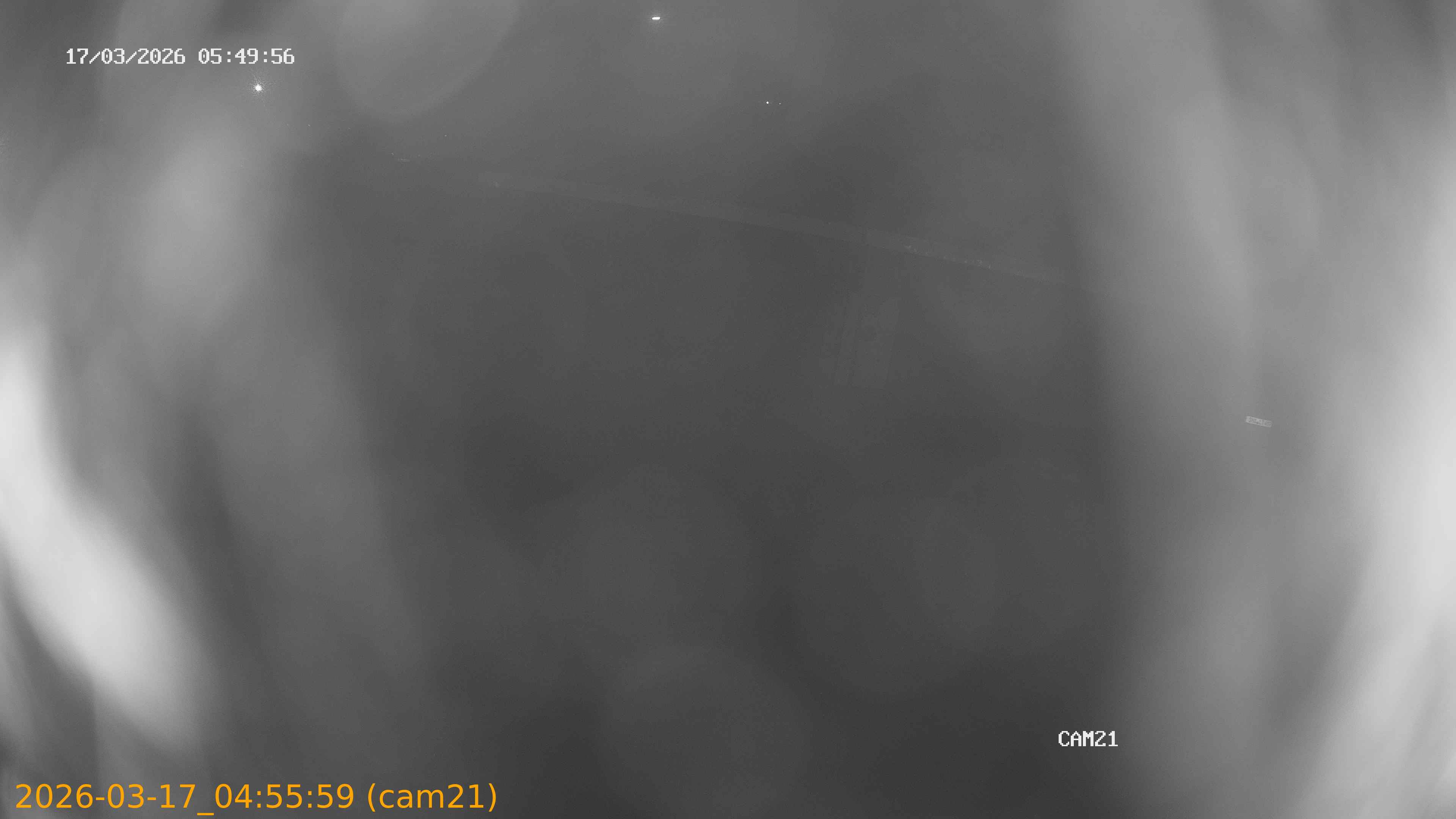 thumbnail_202603170455