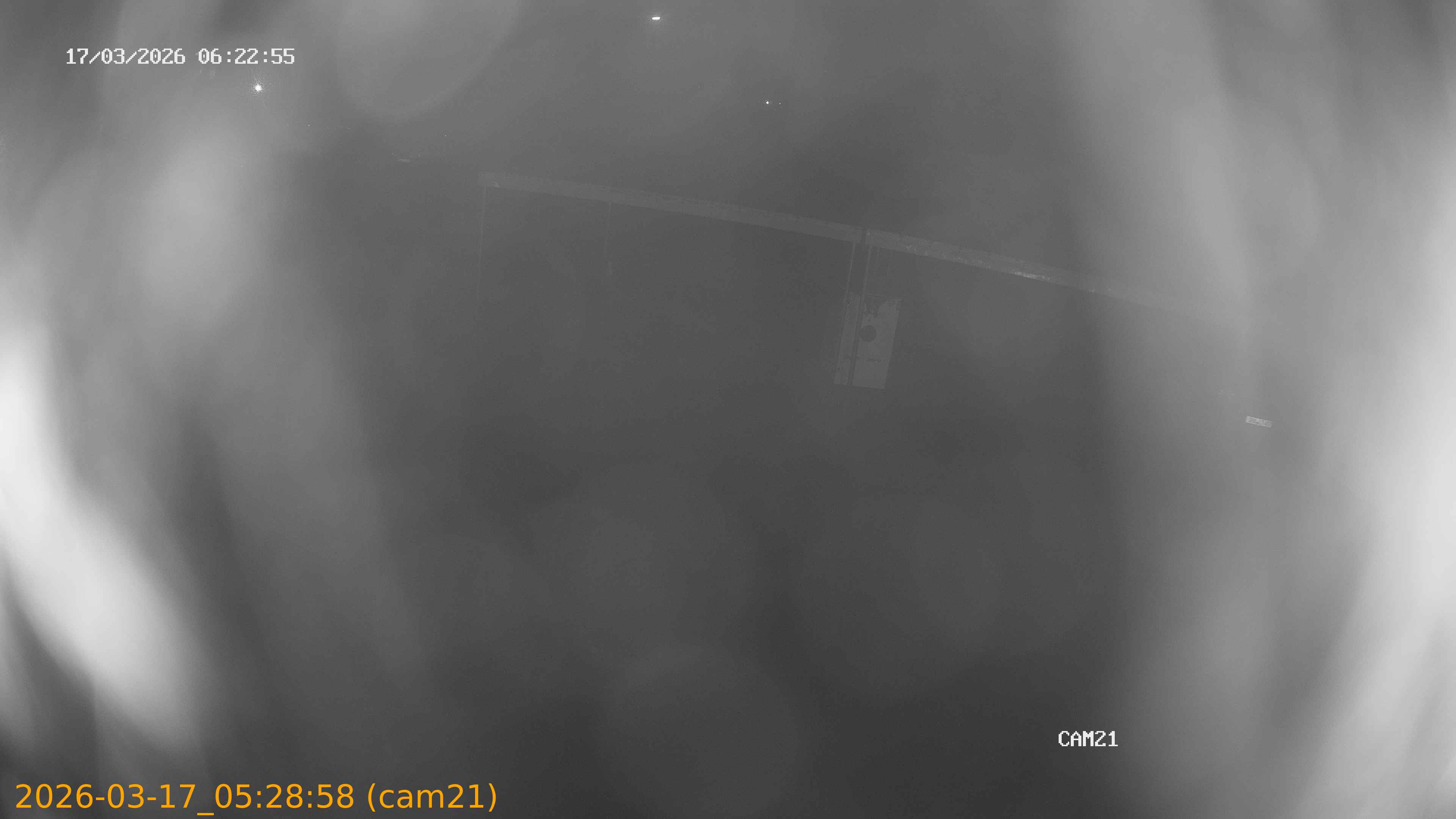 thumbnail_202603170528