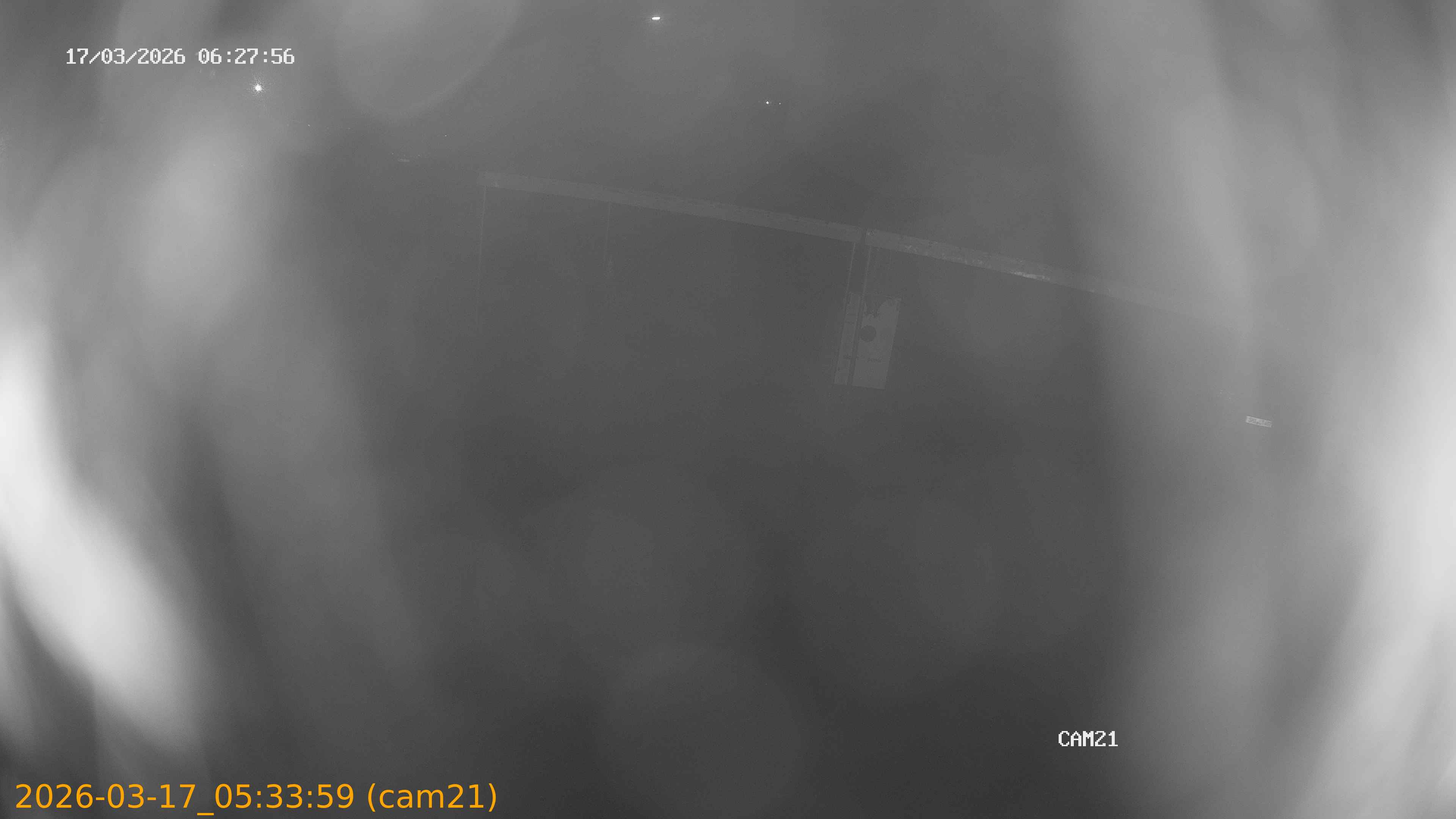 thumbnail_202603170533