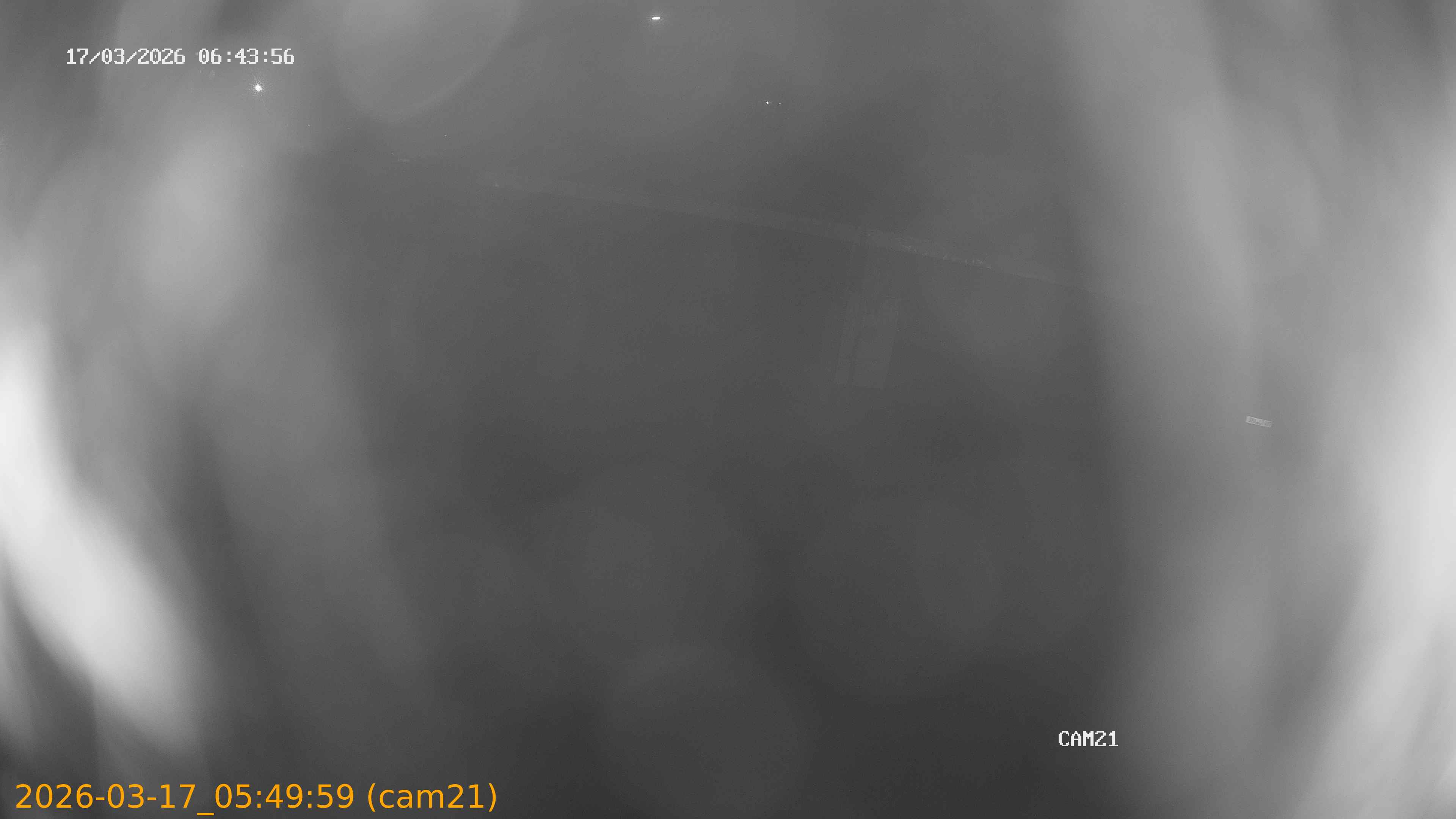 thumbnail_202603170549