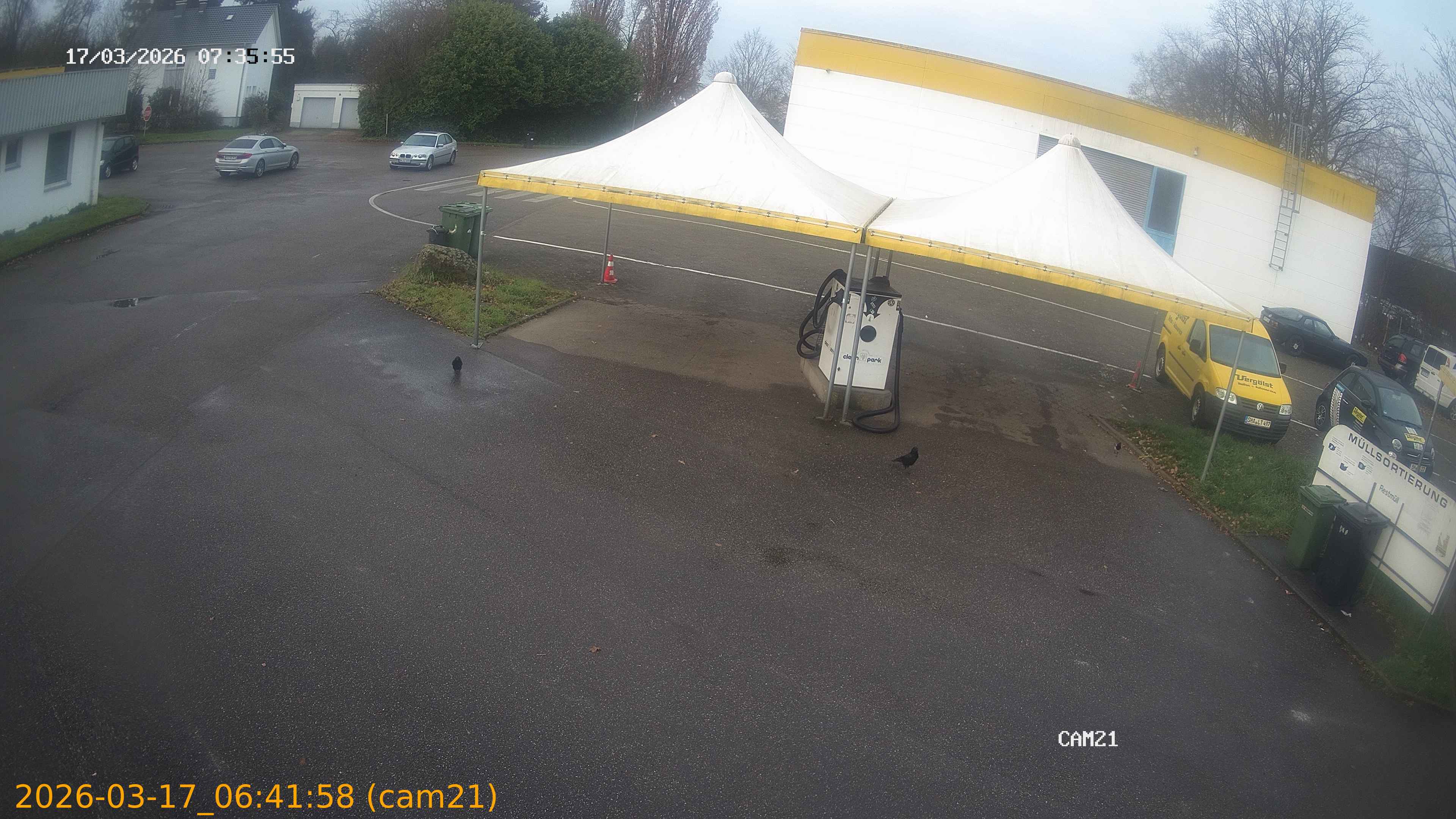 thumbnail_202603170641