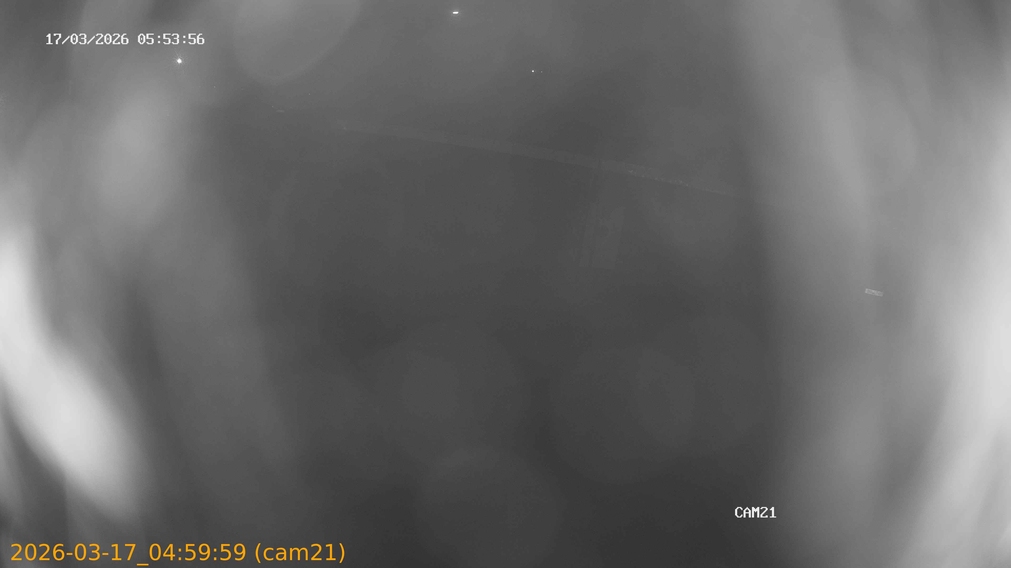 thumbnail_2026031704