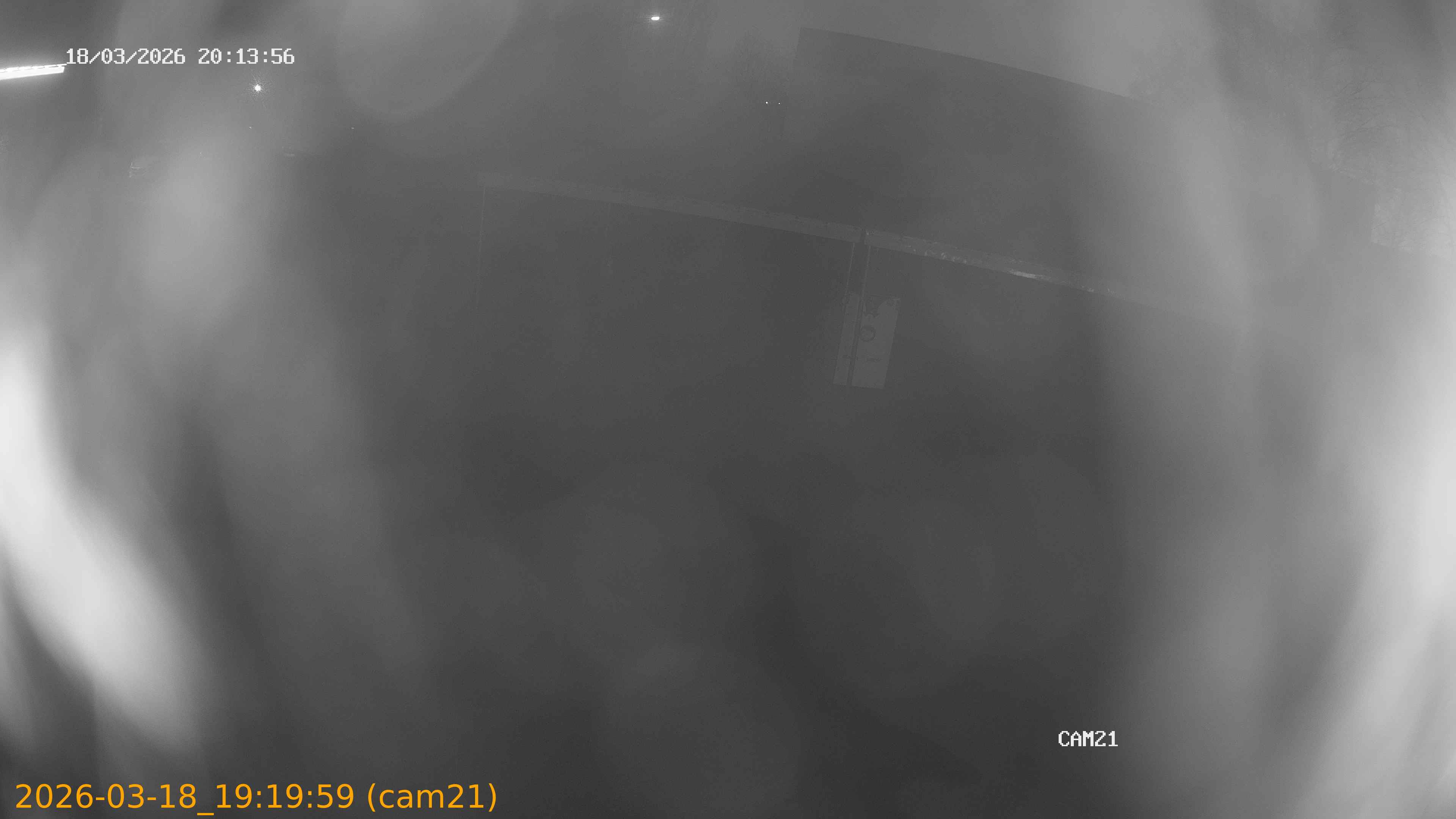 thumbnail_202603181919