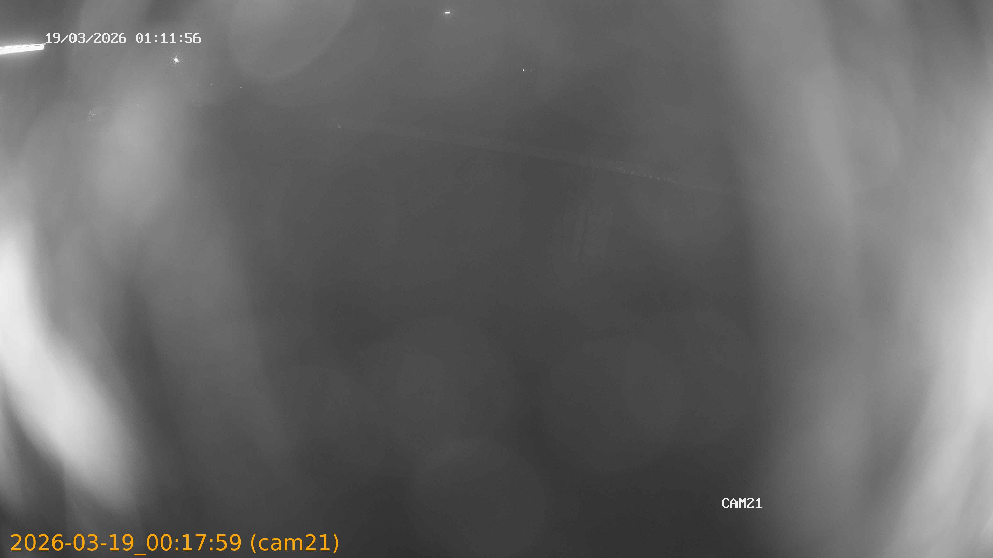 thumbnail_202603190017