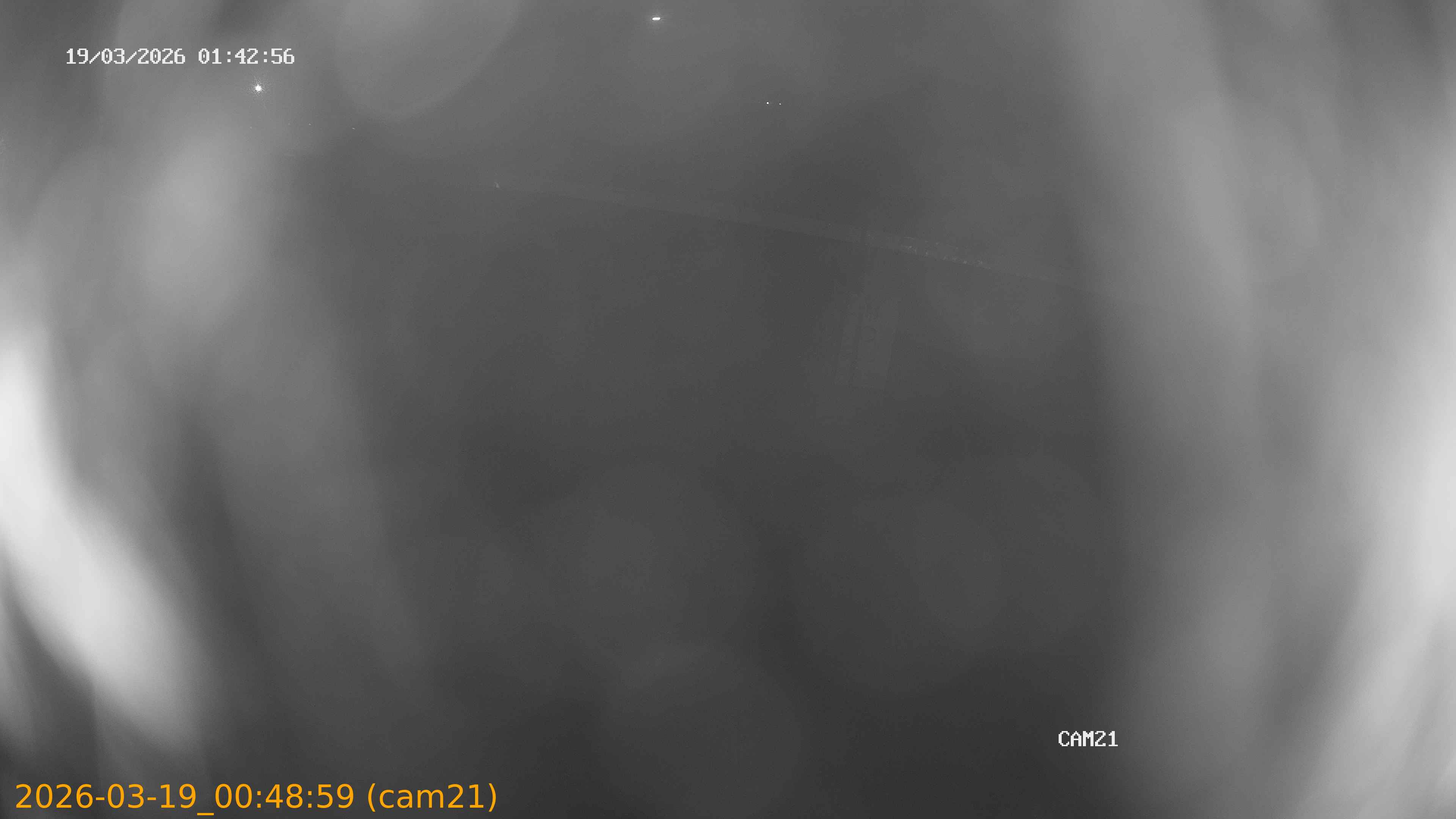 thumbnail_202603190048