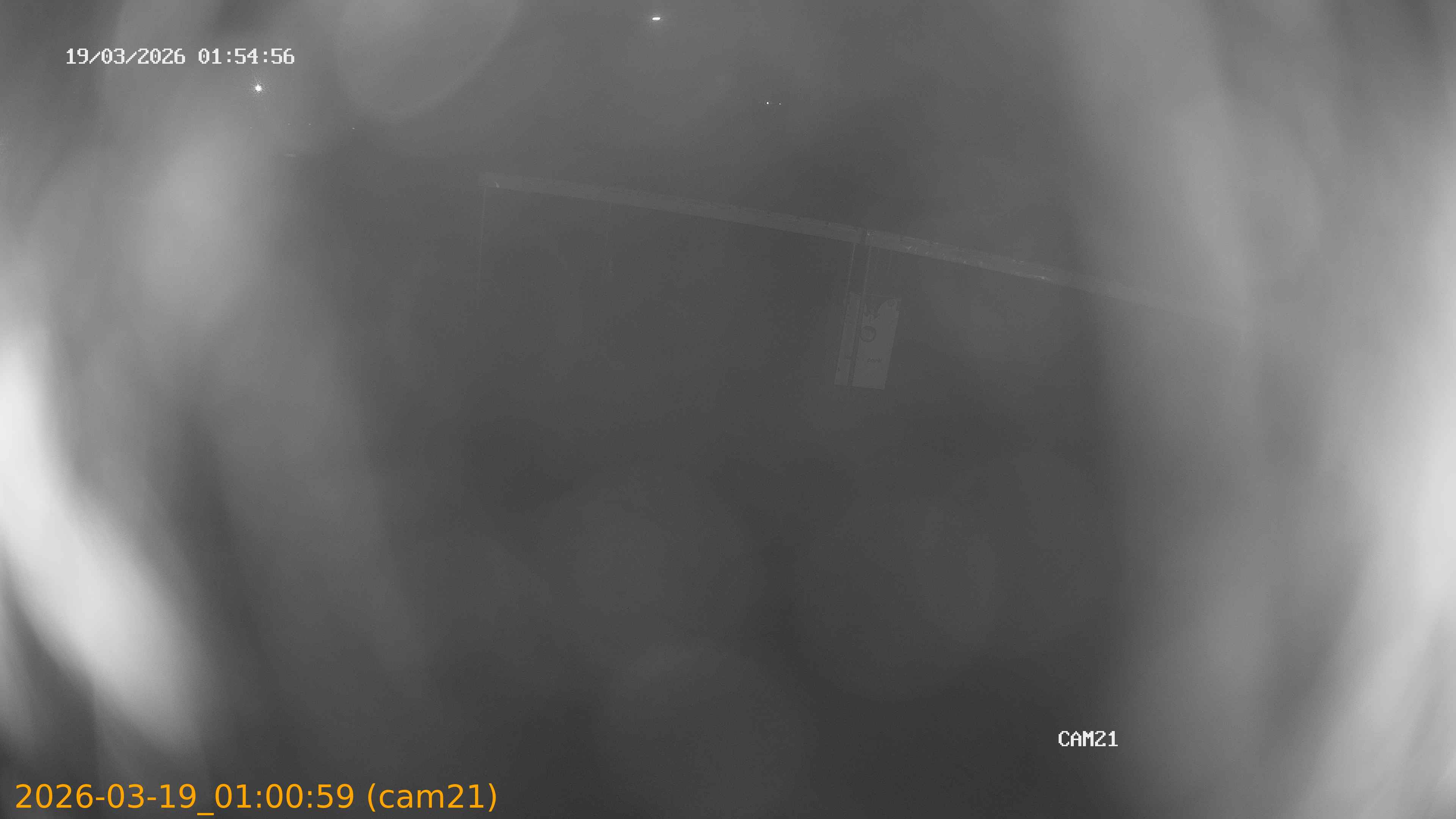 thumbnail_202603190100