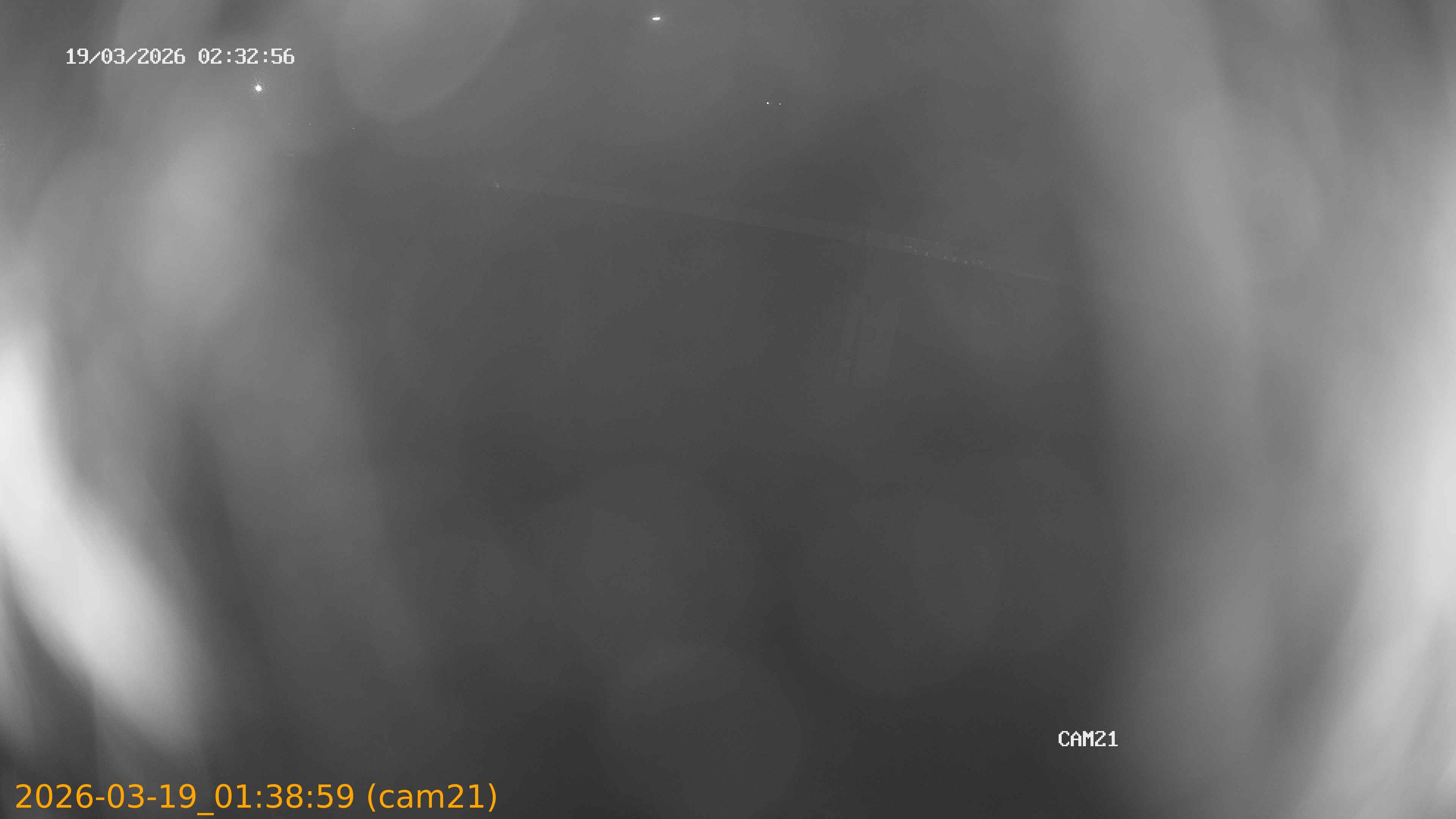 thumbnail_202603190138