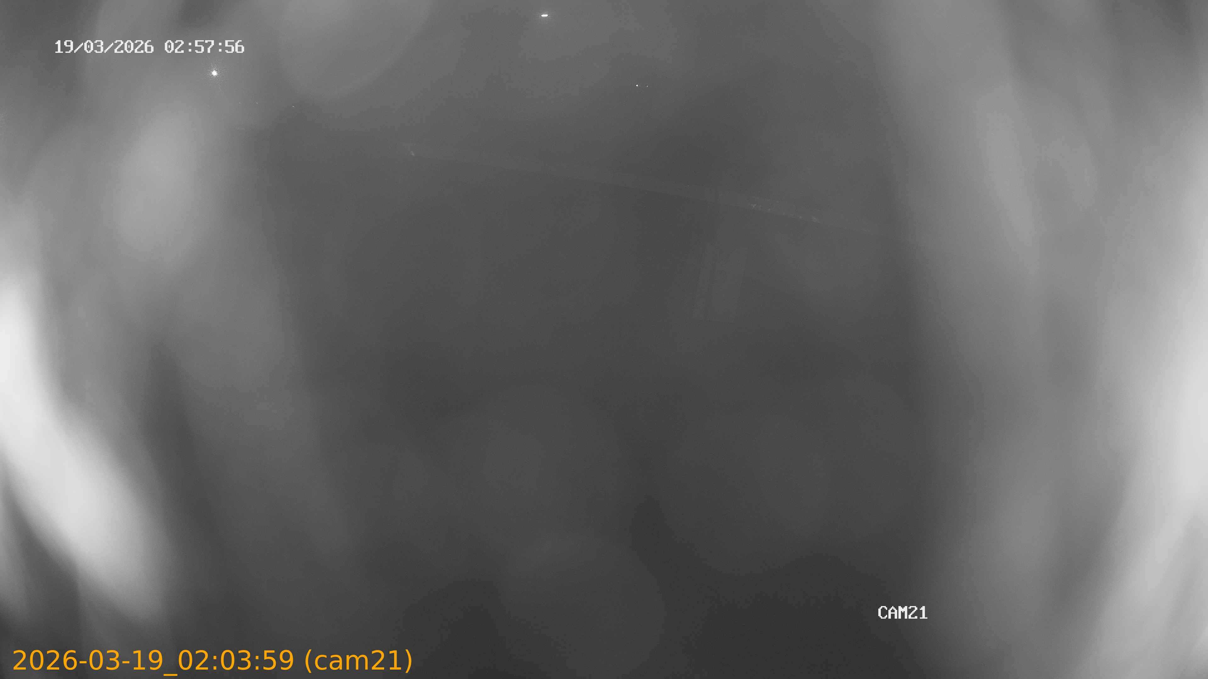 thumbnail_202603190203