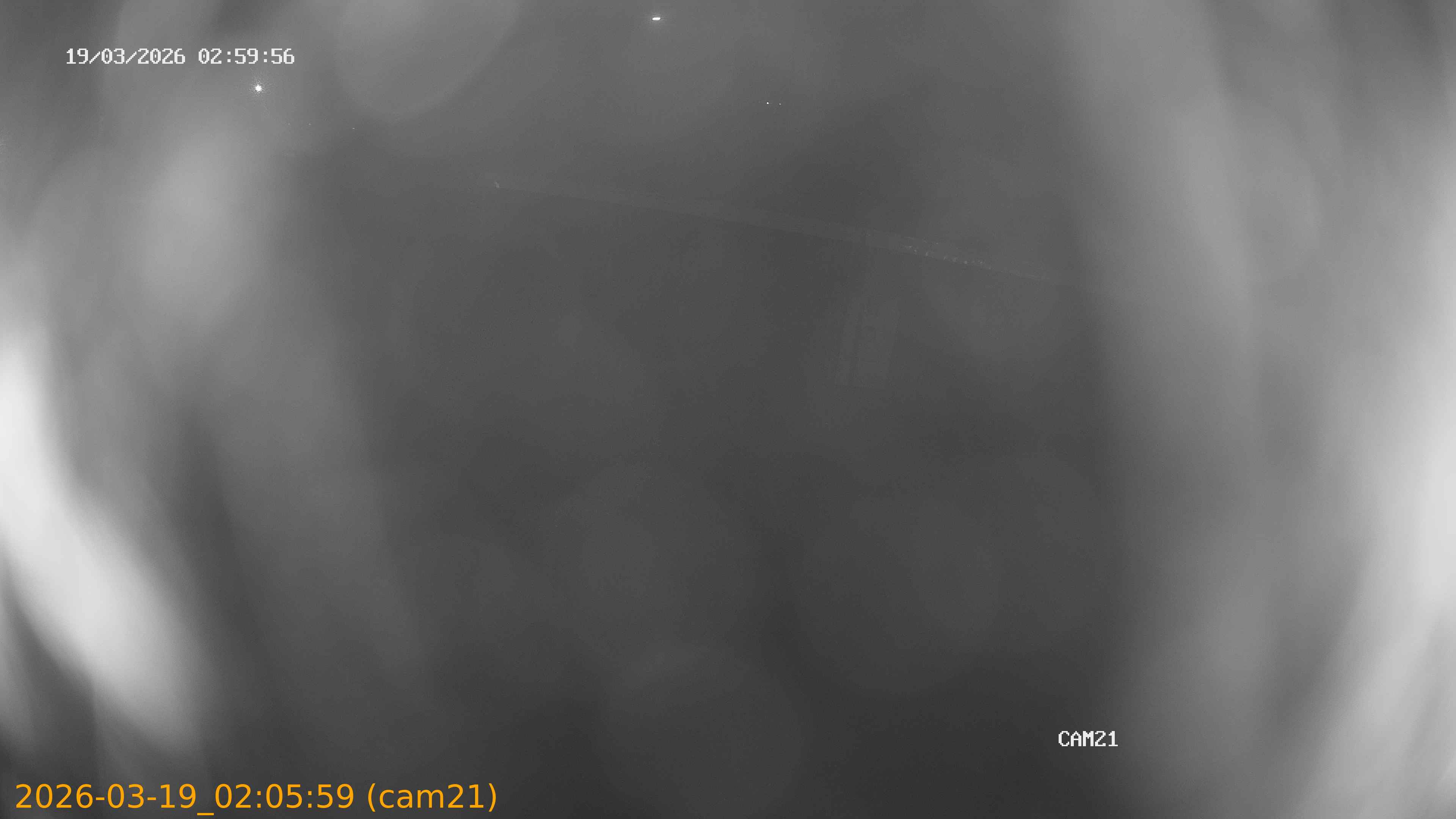 thumbnail_202603190205