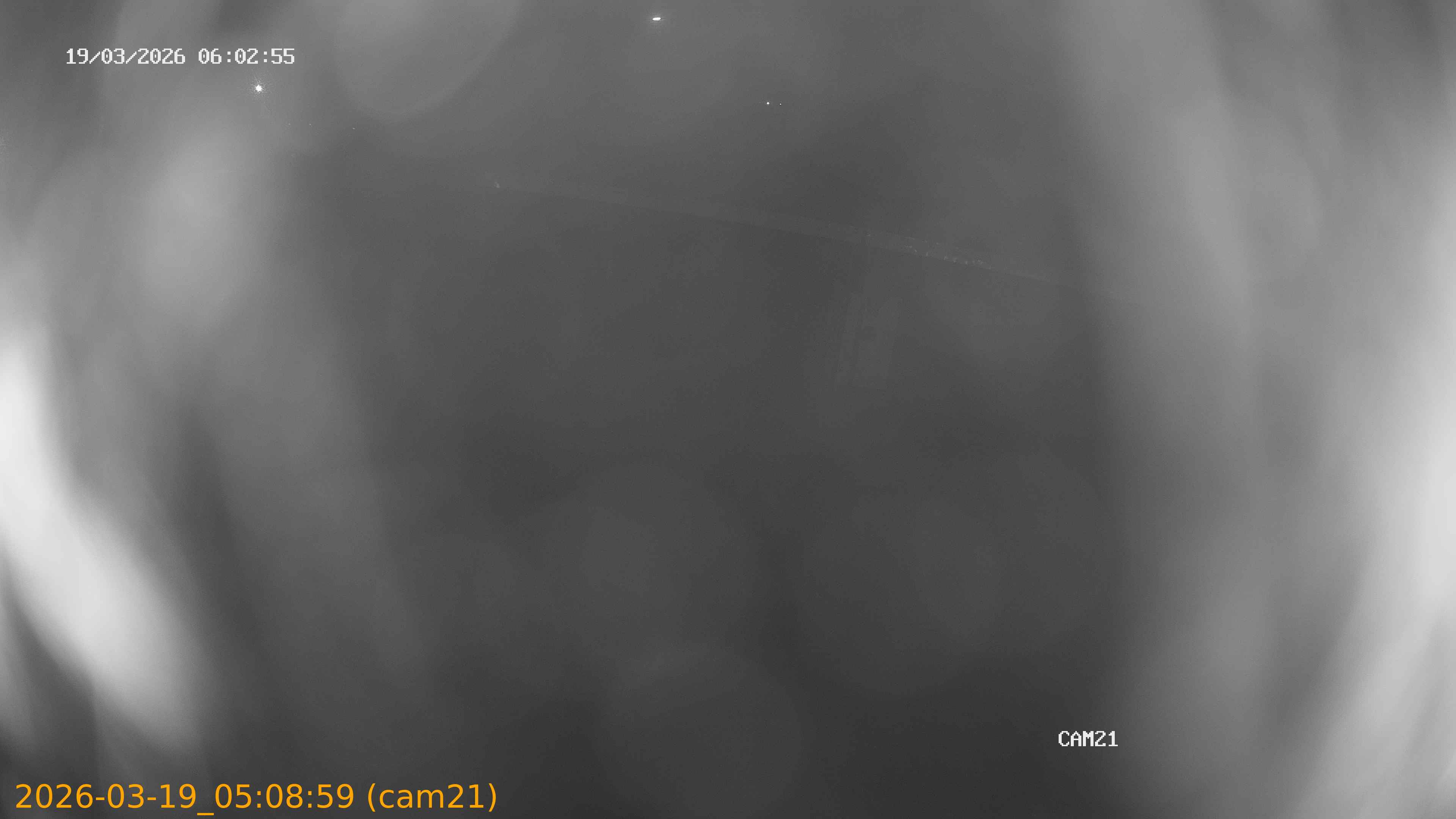 thumbnail_202603190508