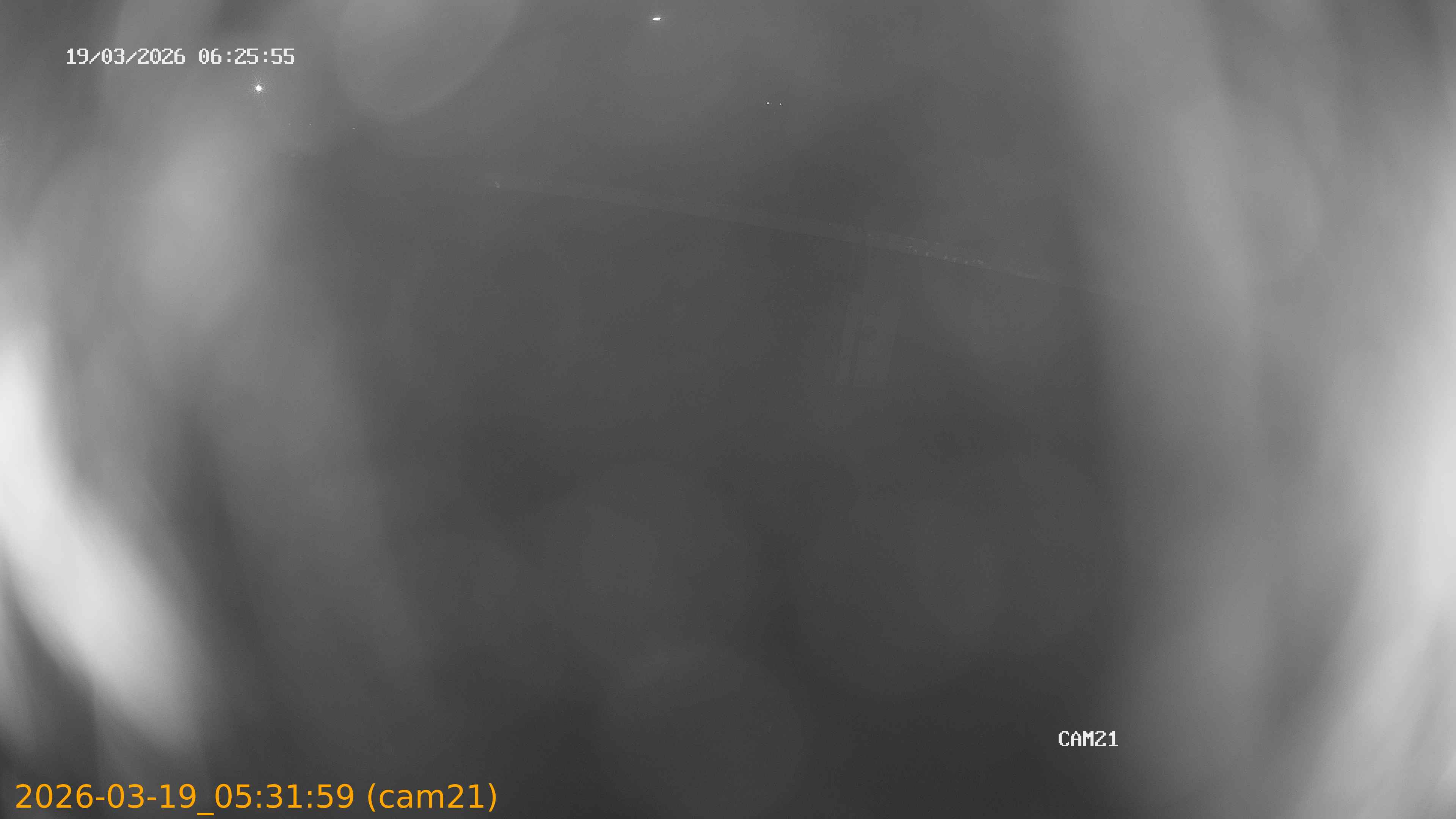 thumbnail_202603190531