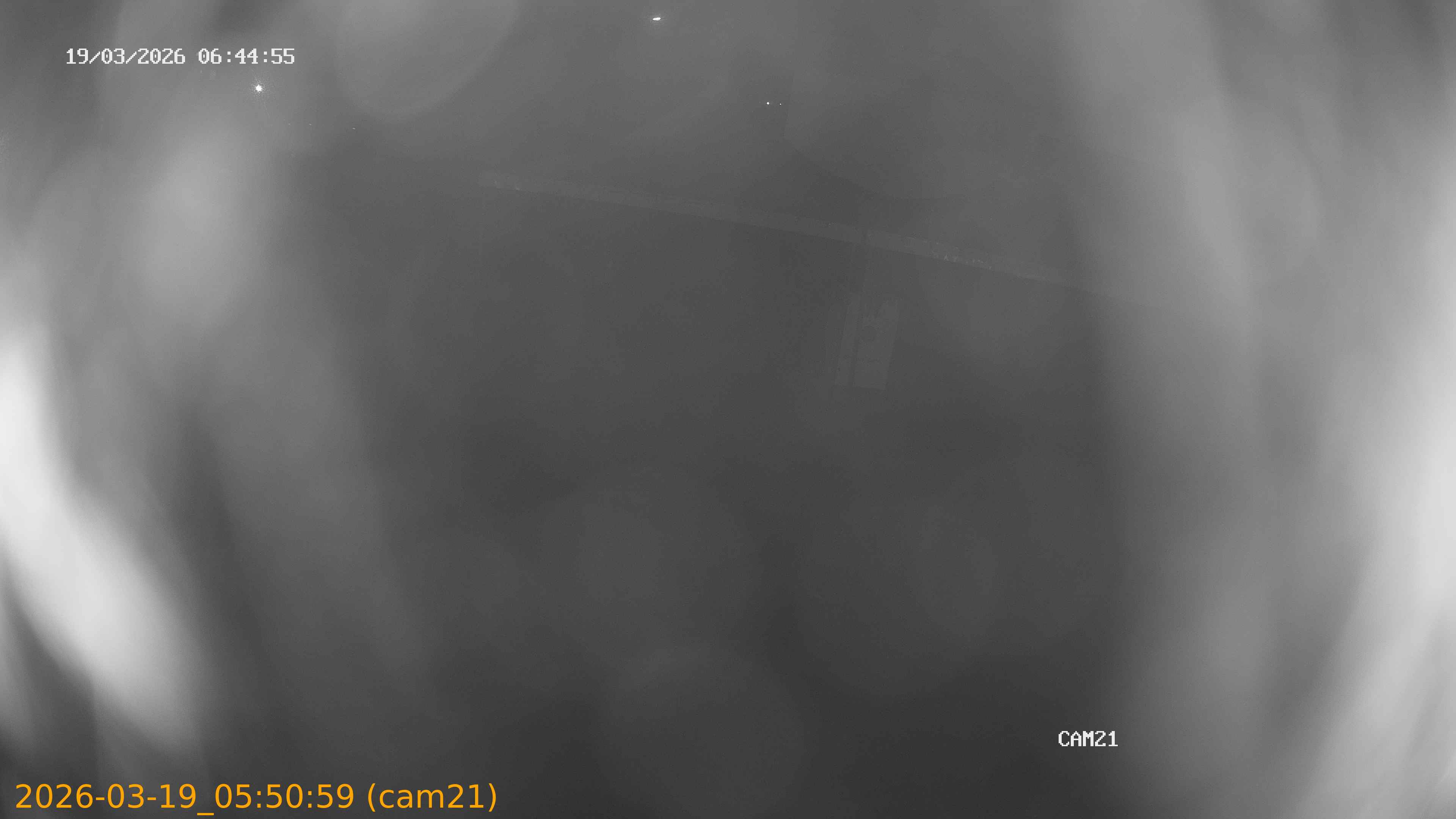 thumbnail_202603190550