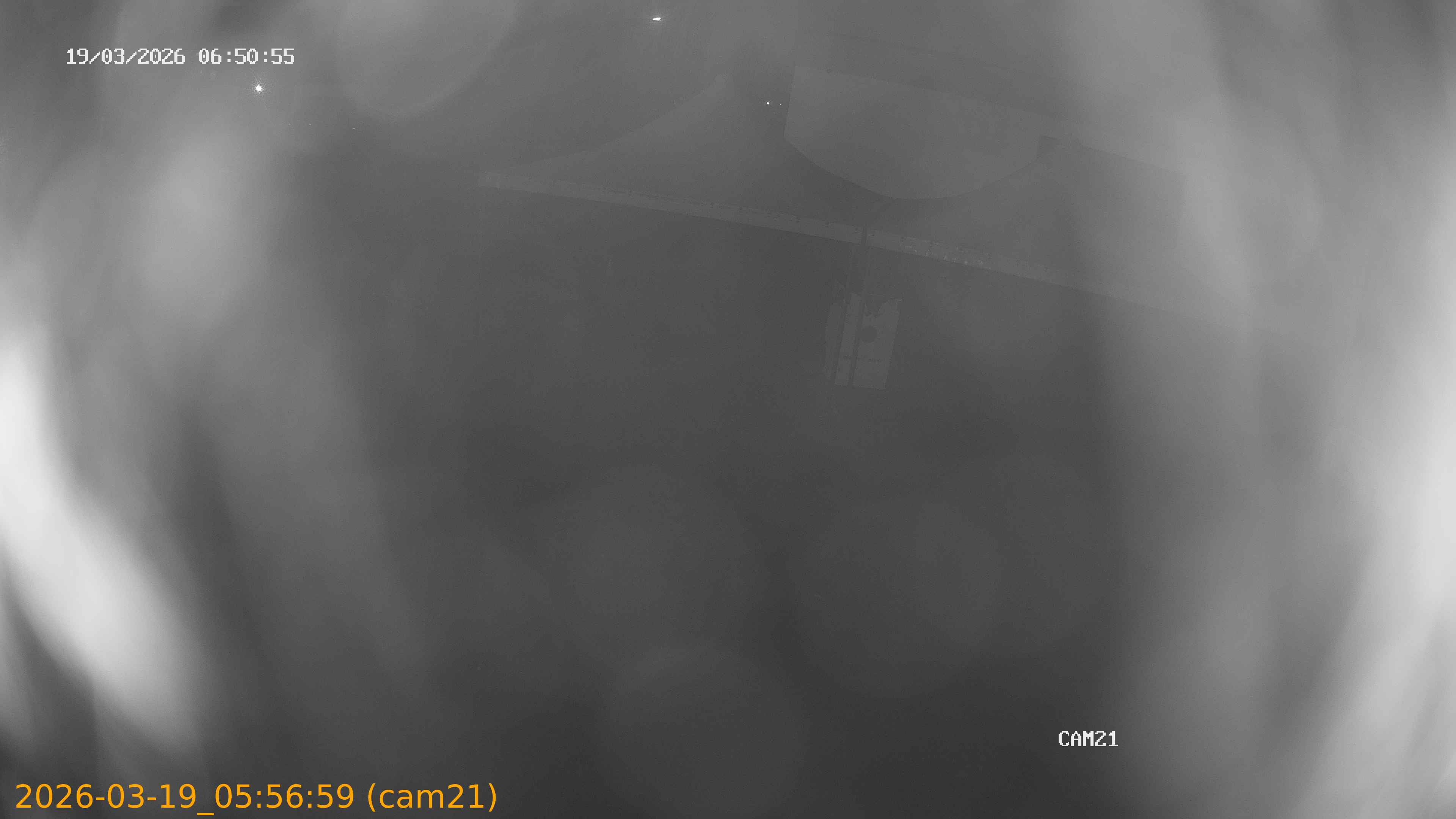 thumbnail_202603190556