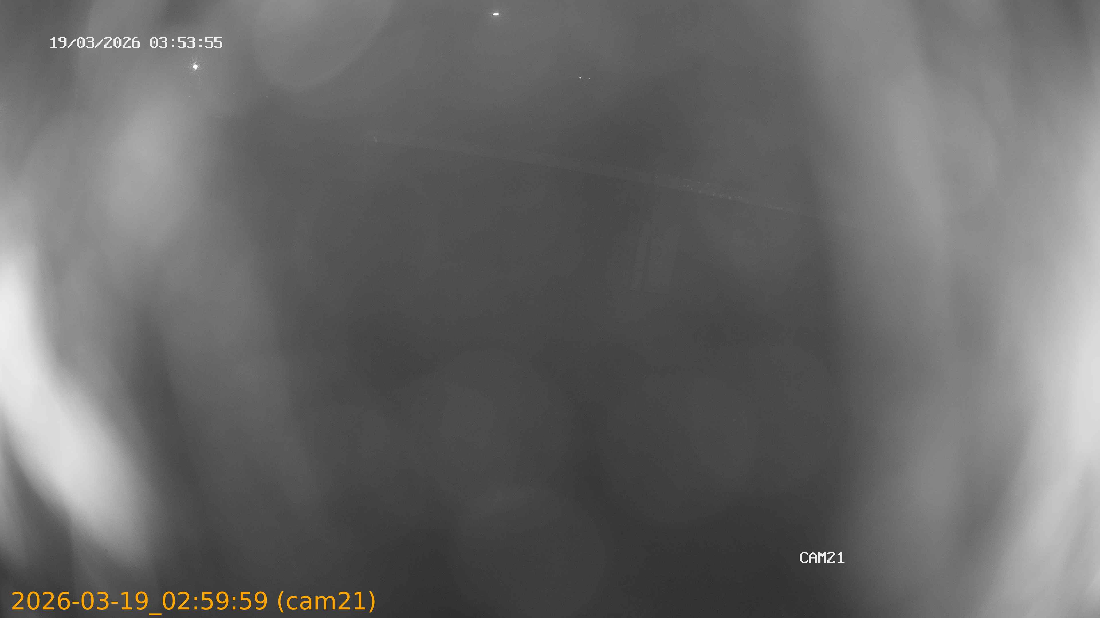 thumbnail_2026031902